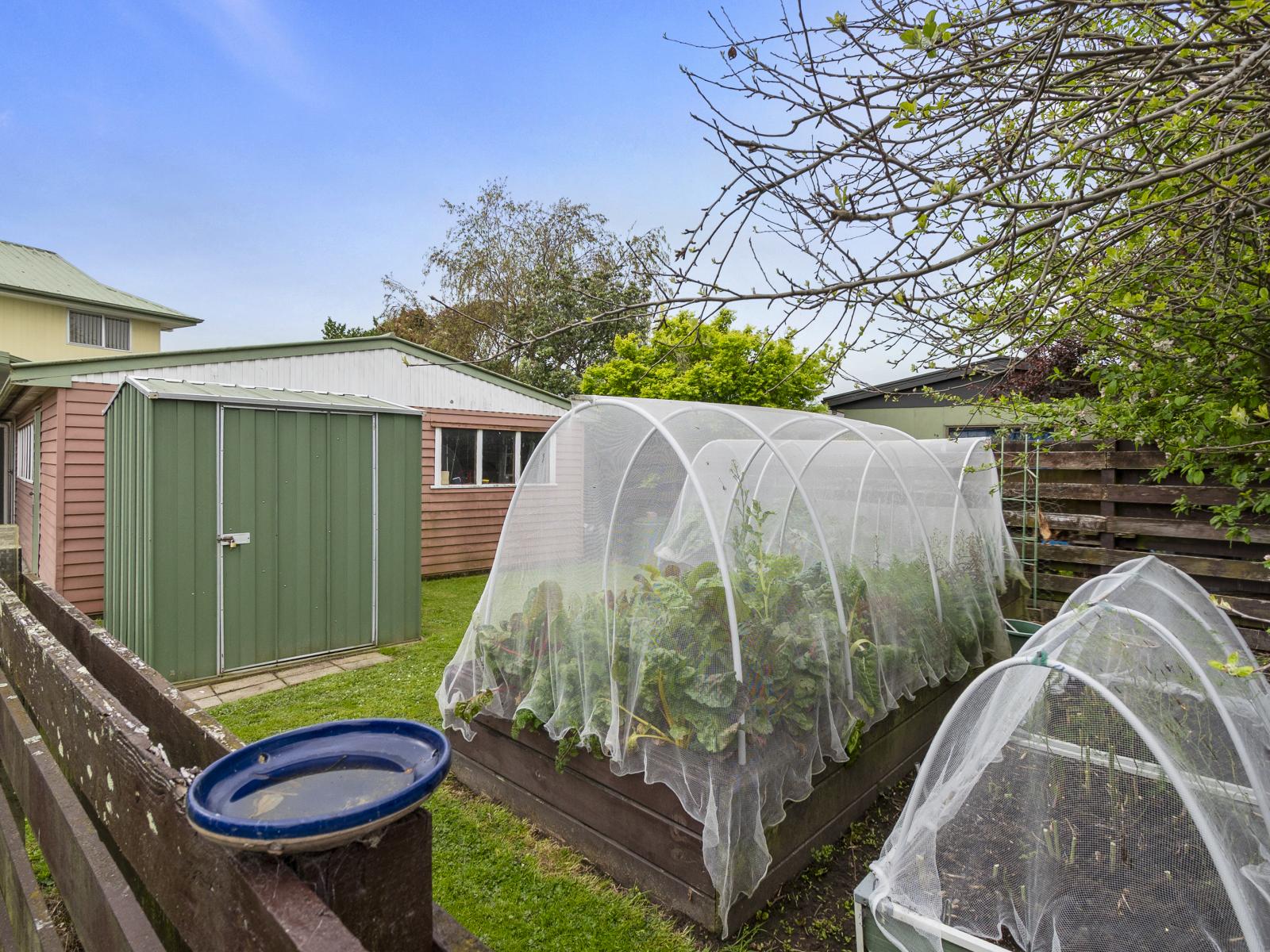 8 Dunk Place, Milson