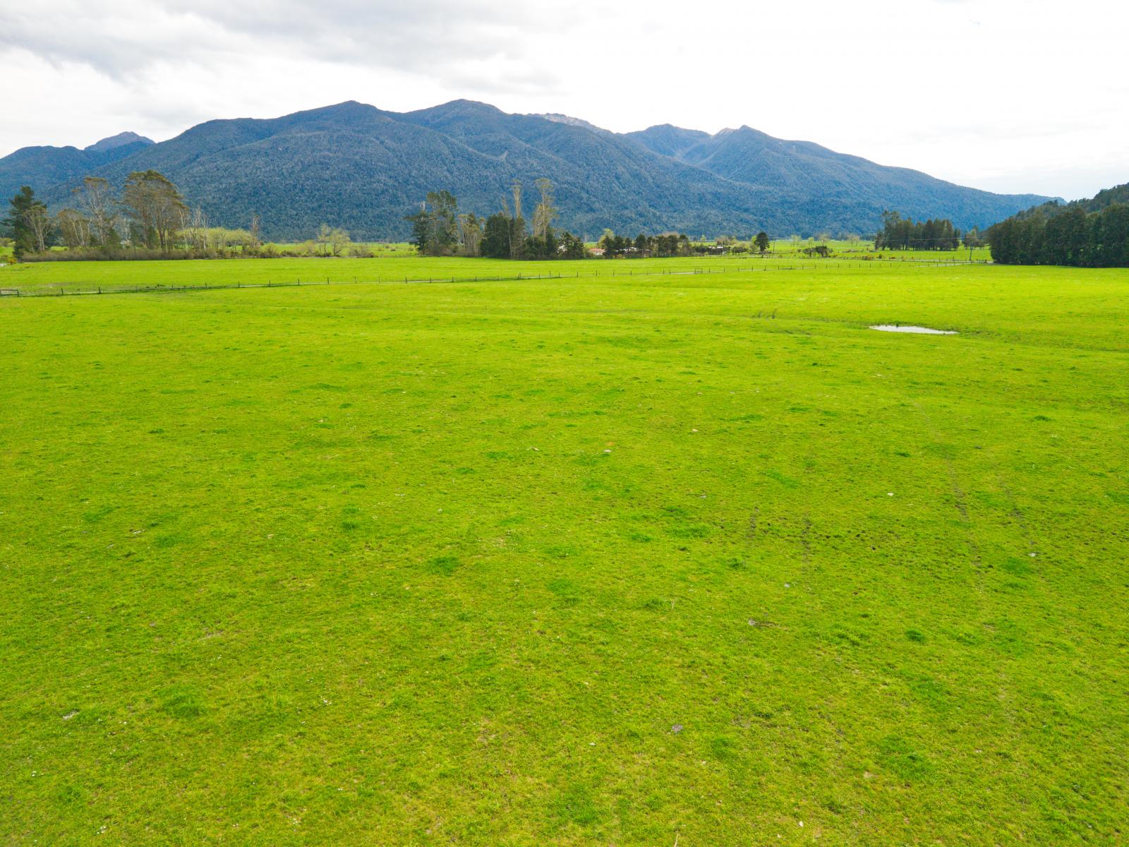 2699 Lake Brunner Road, Inchbonnie