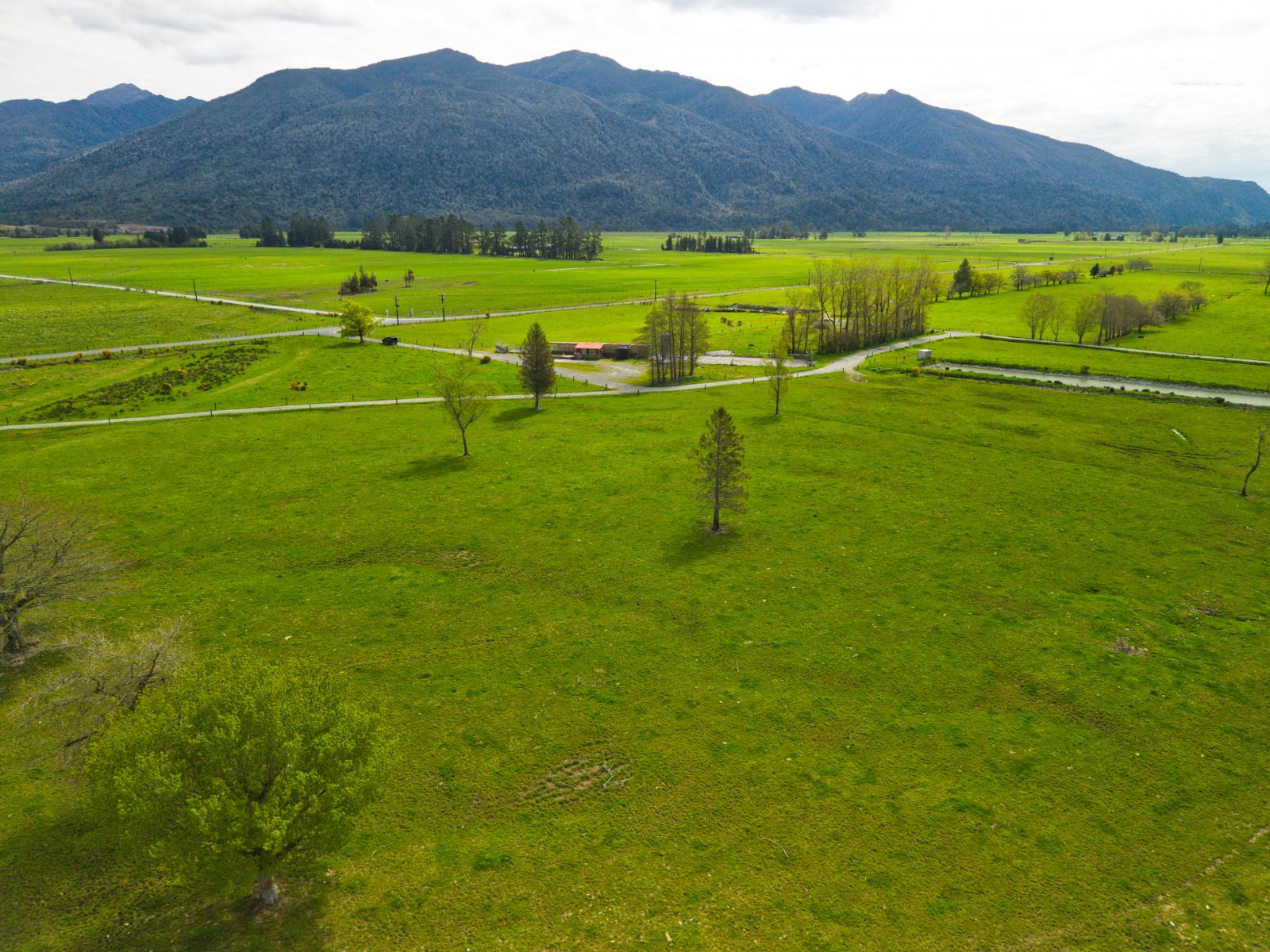 2699 Lake Brunner Road, Inchbonnie