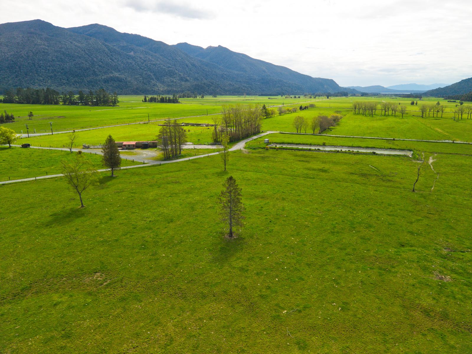 2699 Lake Brunner Road, Inchbonnie