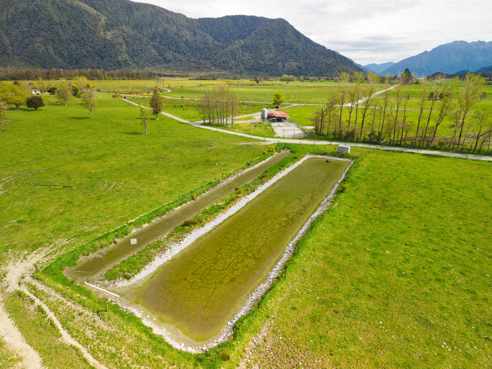 2699 Lake Brunner Road, Inchbonnie