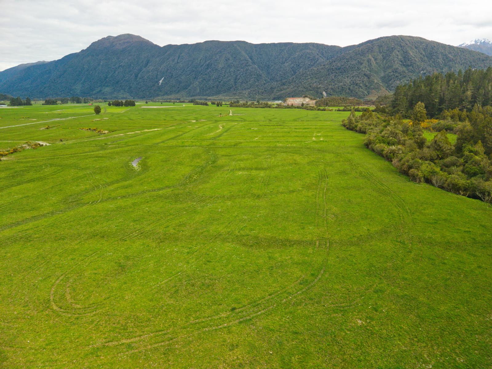 3052 Kumara-Inchbonnie Road, Inchbonnie
