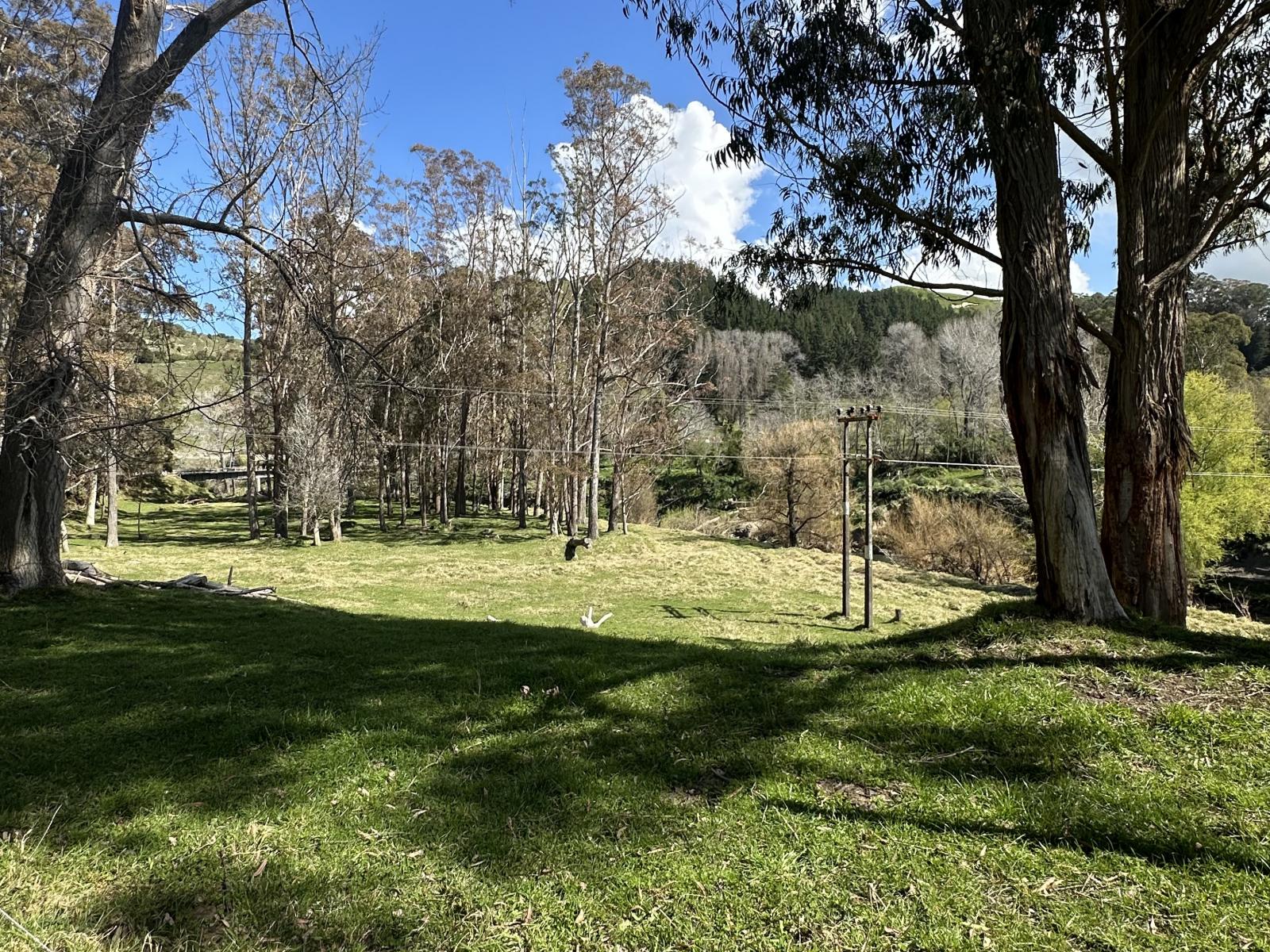 Lake Road, Frasertown