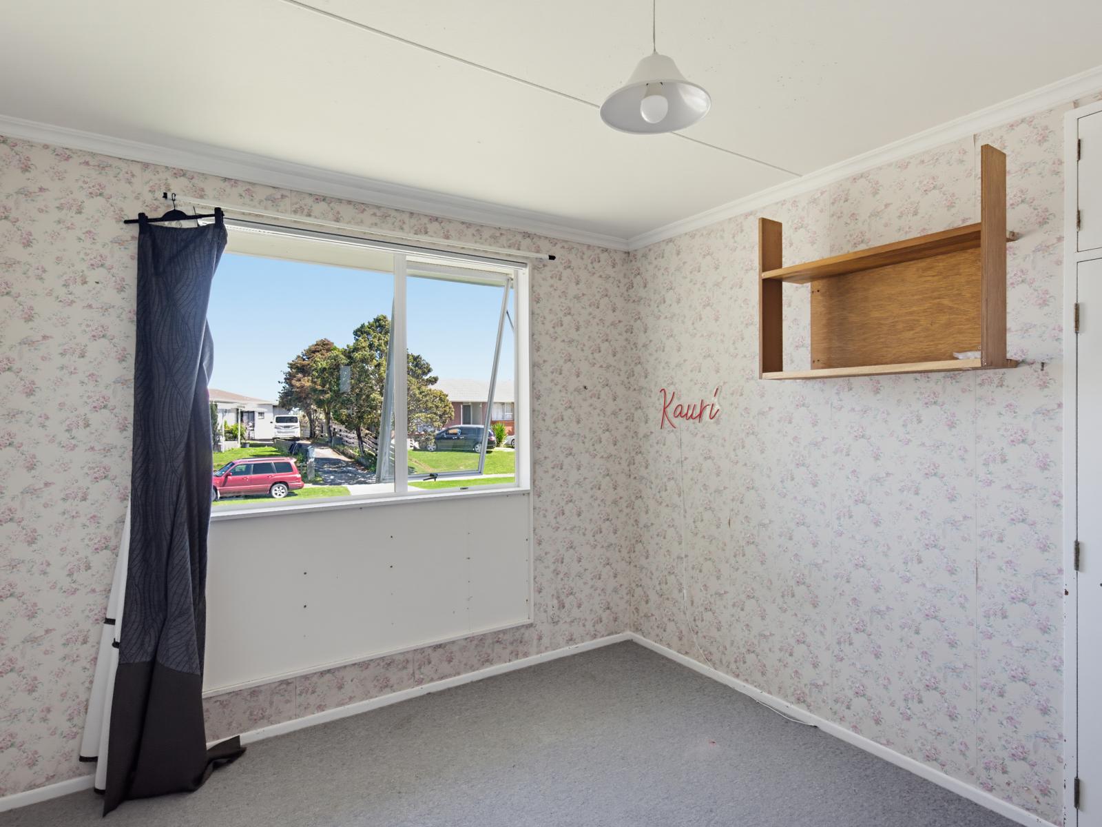 19 Kinross Street, Levin