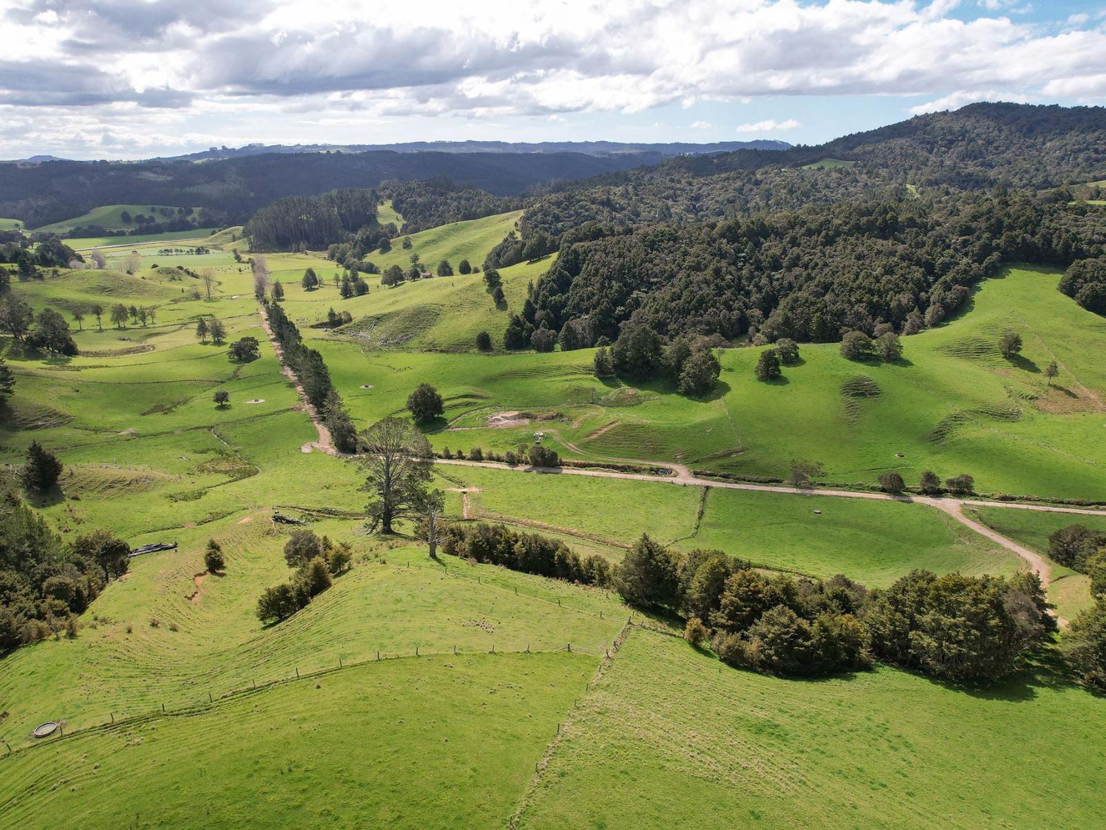 117 Pigs Head Road, Whakapara