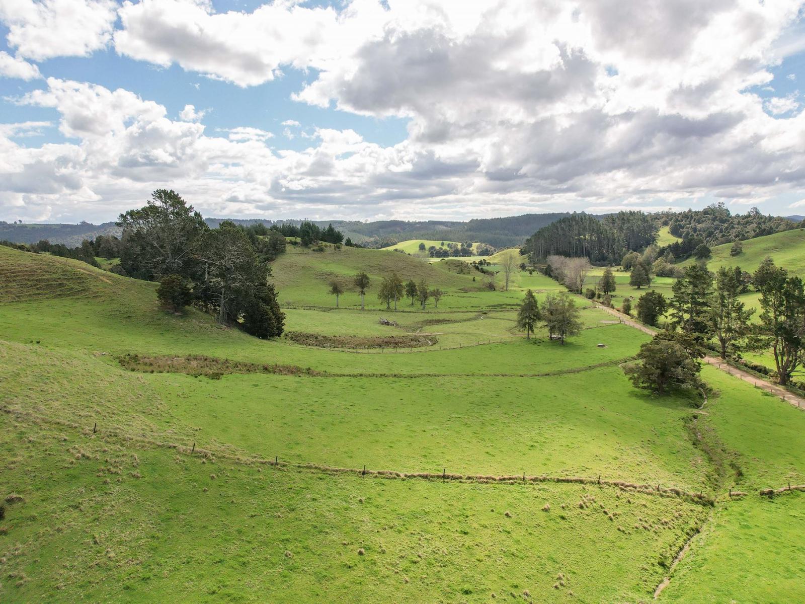 117 Pigs Head Road, Whakapara