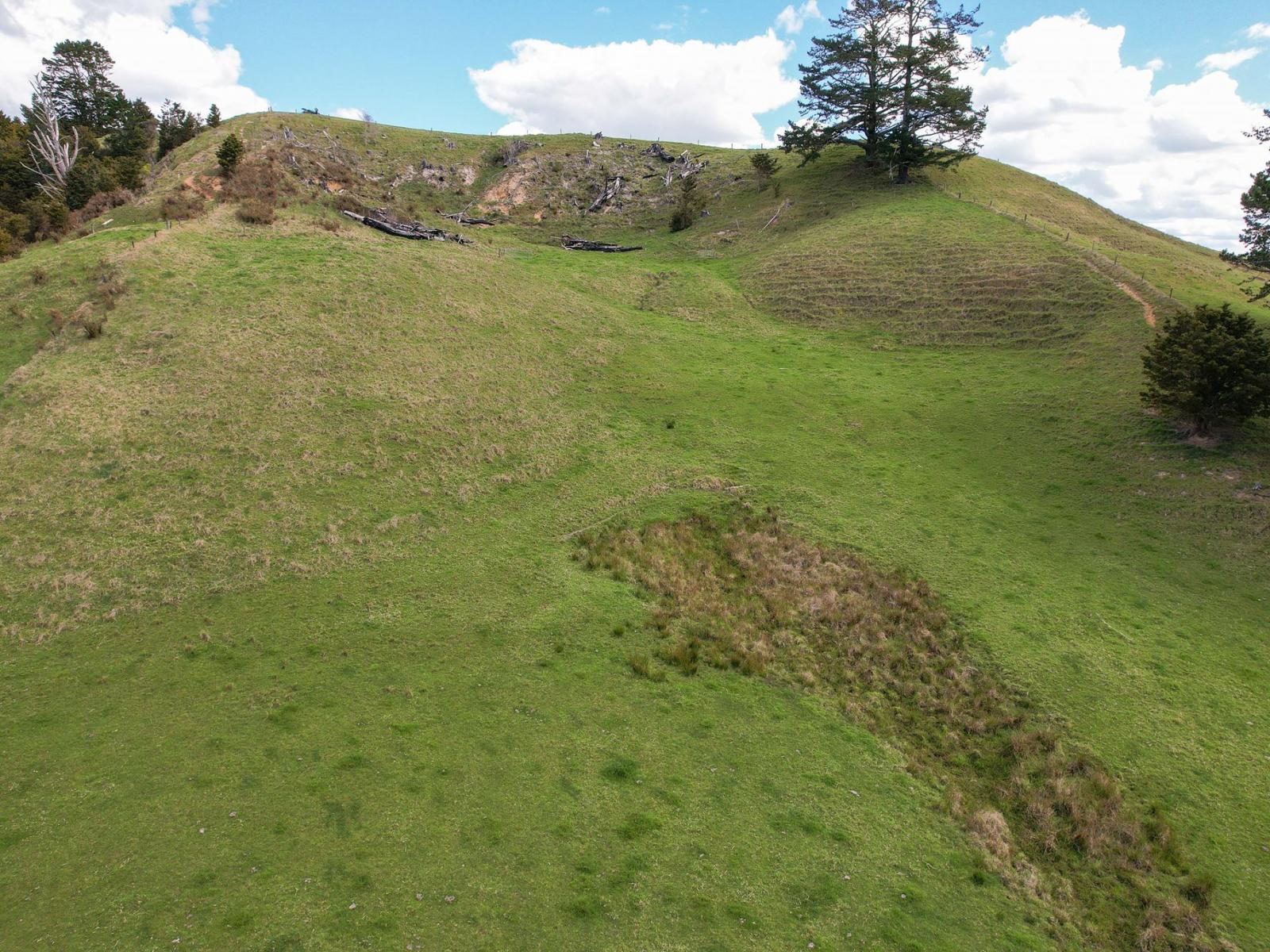117 Pigs Head Road, Whakapara