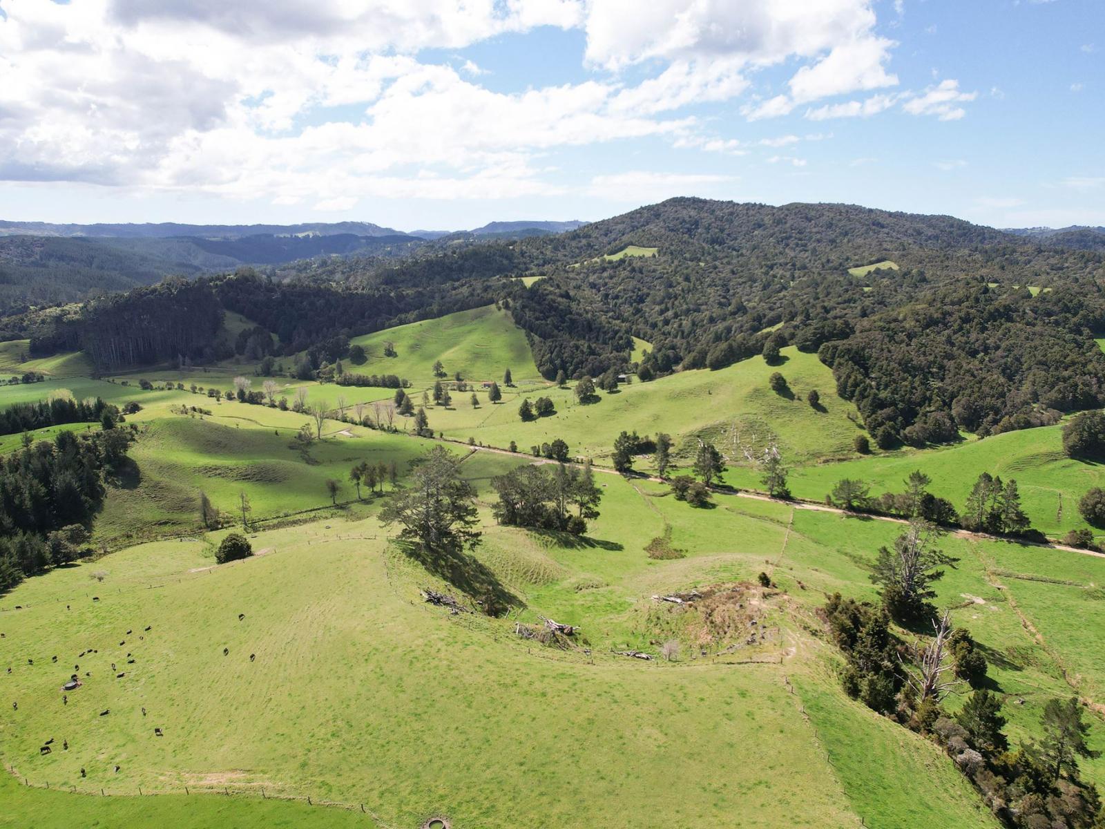 117 Pigs Head Road, Whakapara