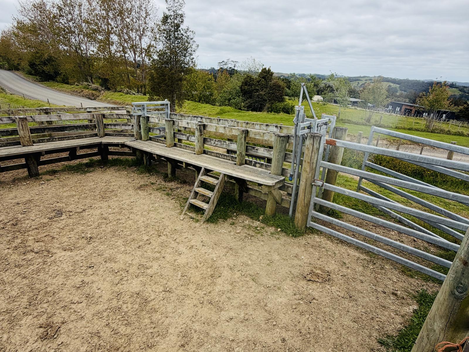 117 Pigs Head Road, Whakapara