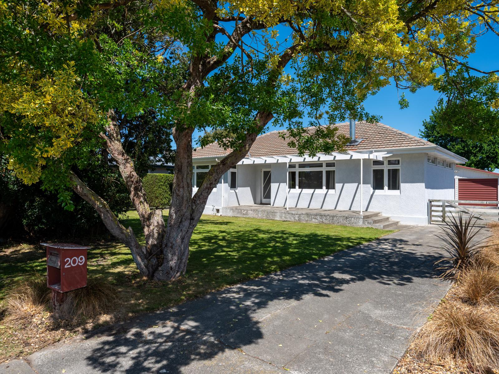 209 Leo Street, Akina