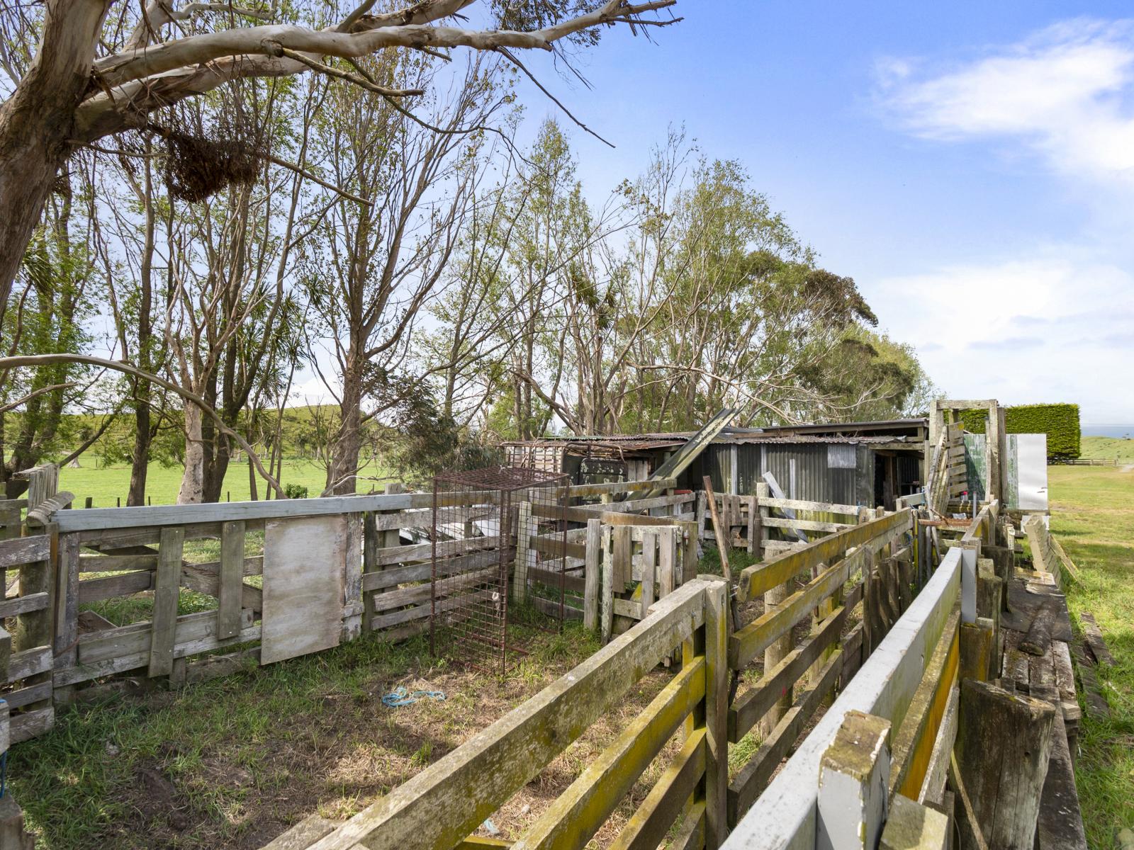 57 Wylie Road, Foxton Beach