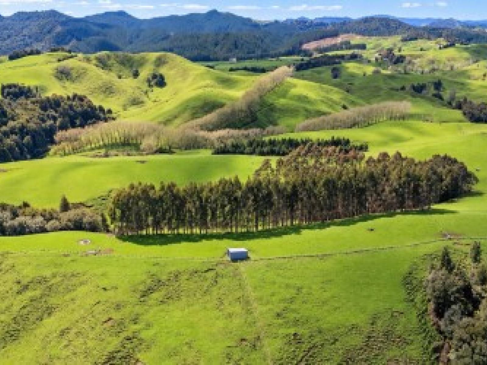 2057 Ohura Mokau Road, Taumarunui