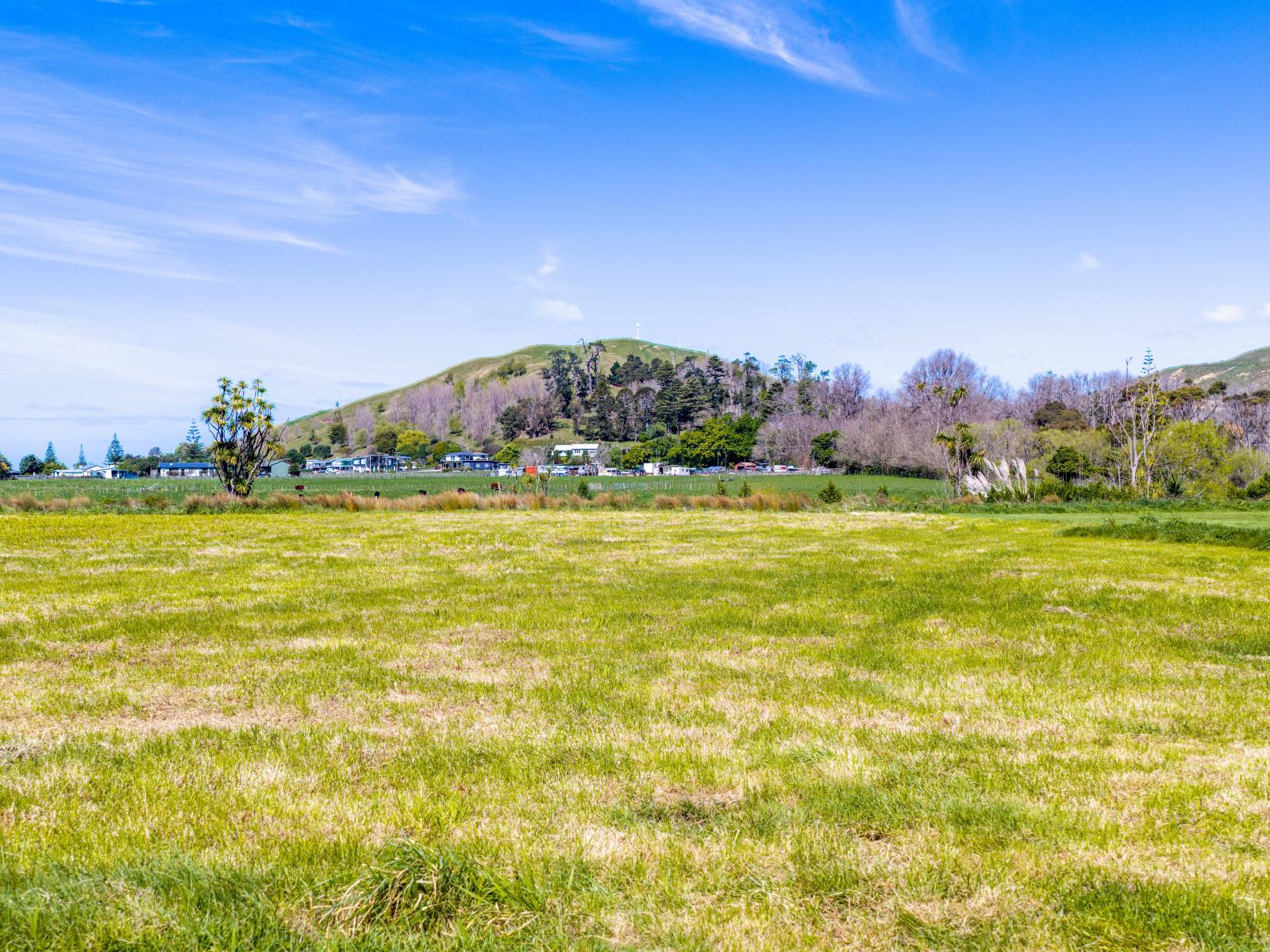 50 Punawaitai Road, Pourerere Beach