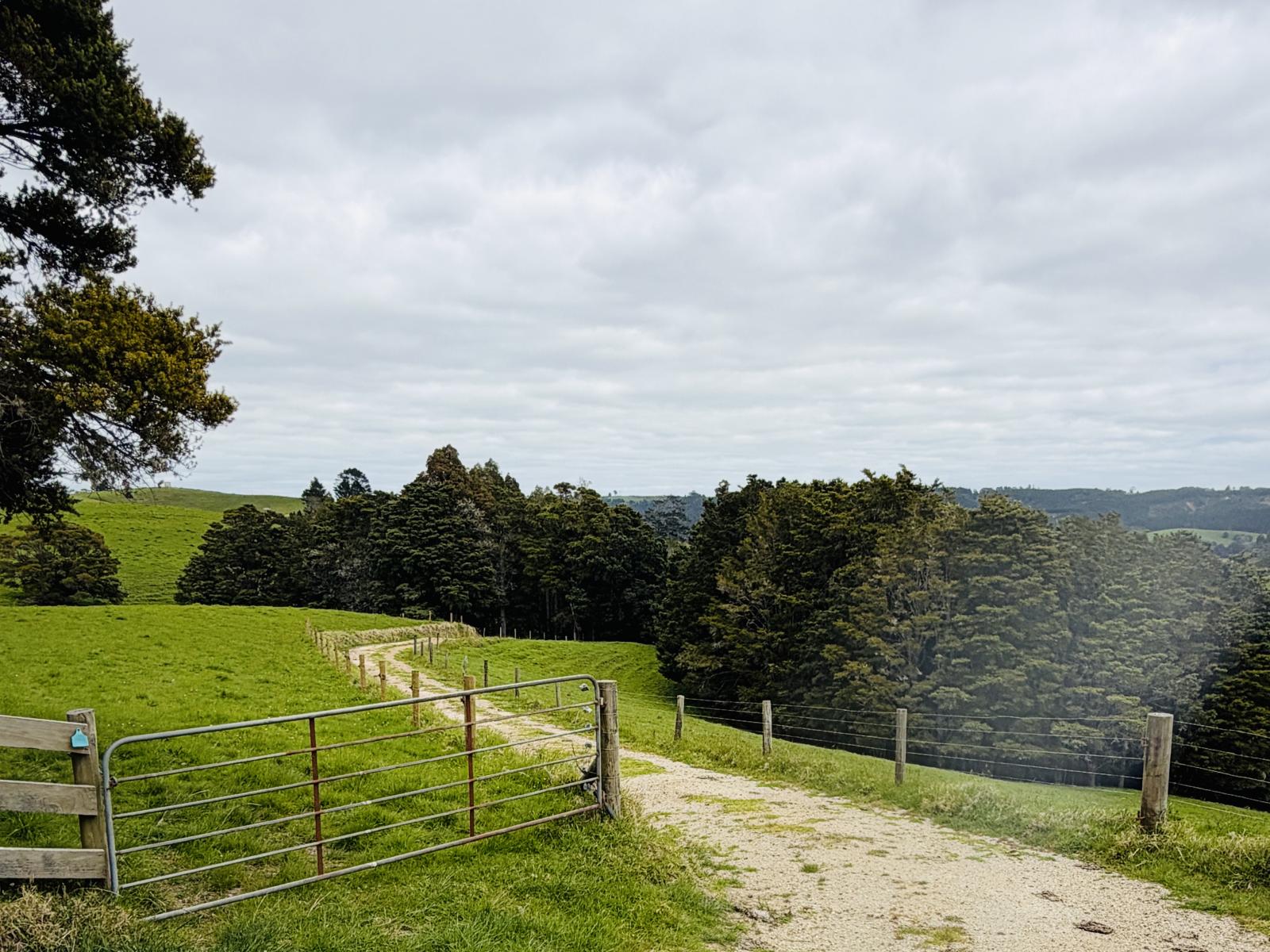 117 Pigs Head Road, Whakapara