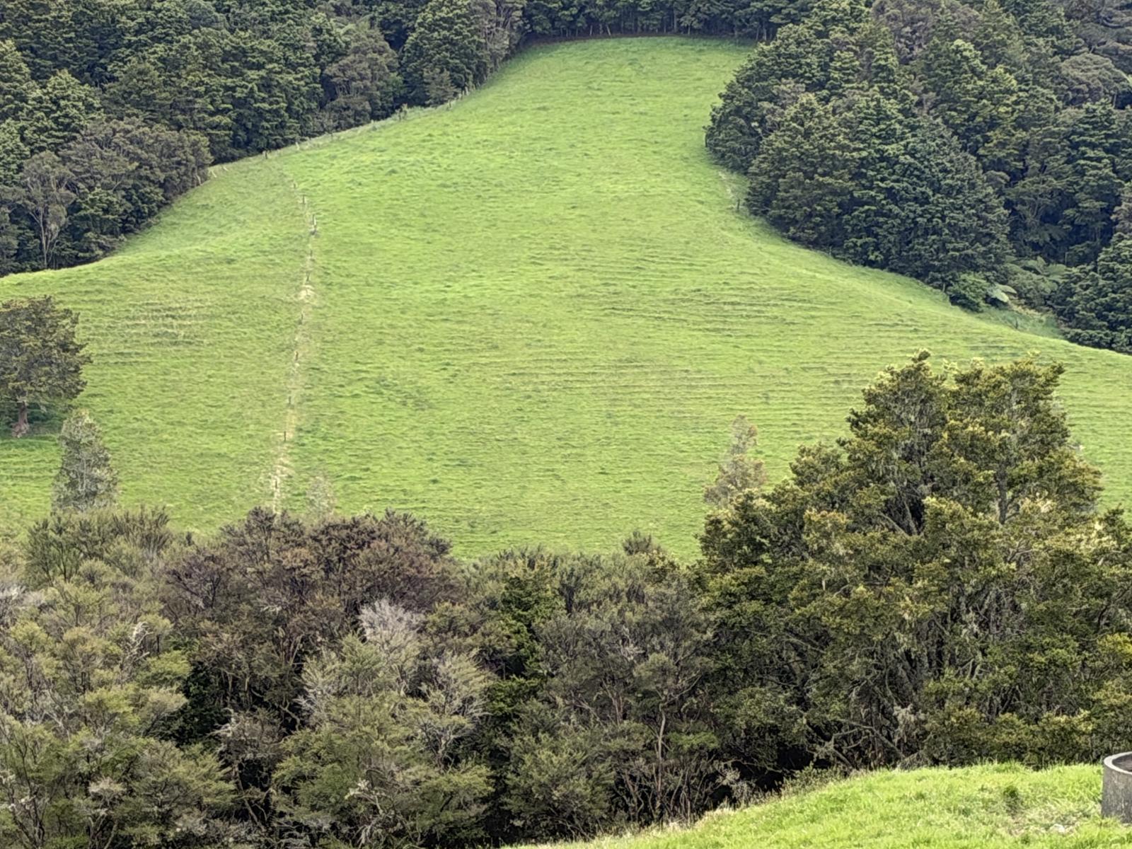 117 Pigs Head Road, Whakapara