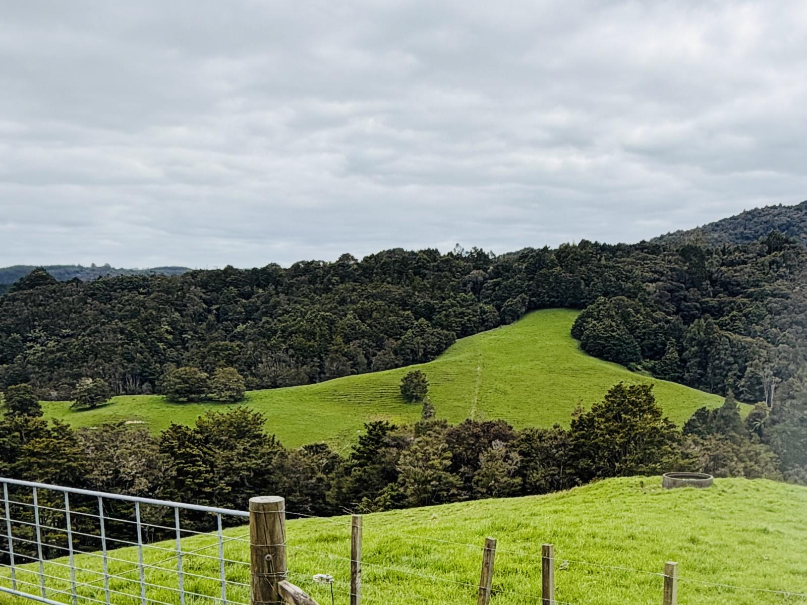 117 Pigs Head Road, Whakapara