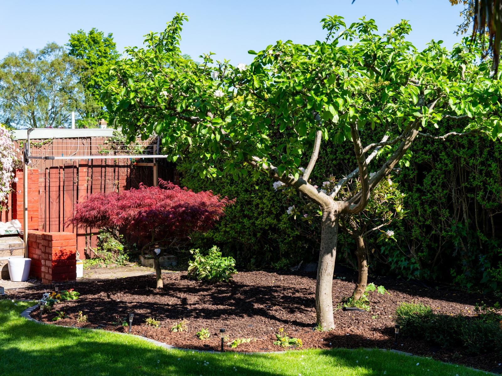 17C Forfar Street, Mosgiel