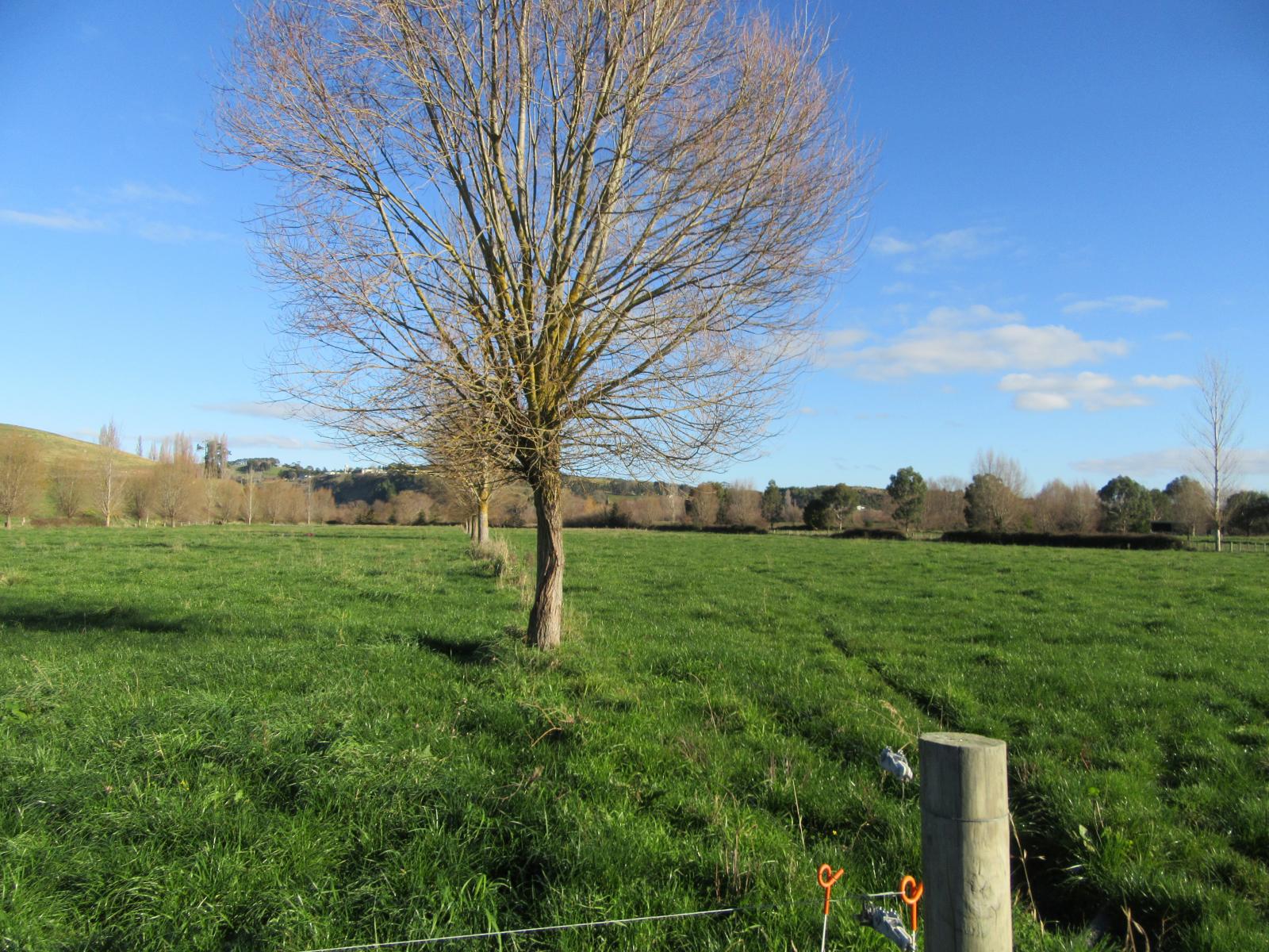 566 Lindsay Road, Waipukurau