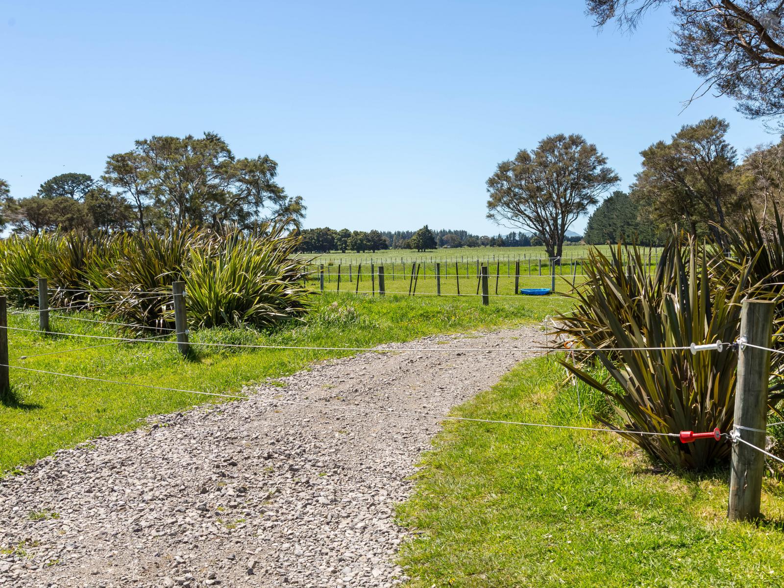 364 Wiltons Road, West Taratahi