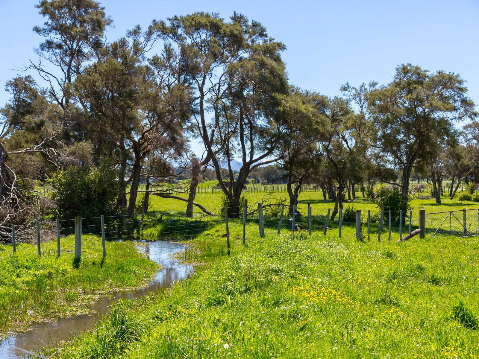 364 Wiltons Road, West Taratahi