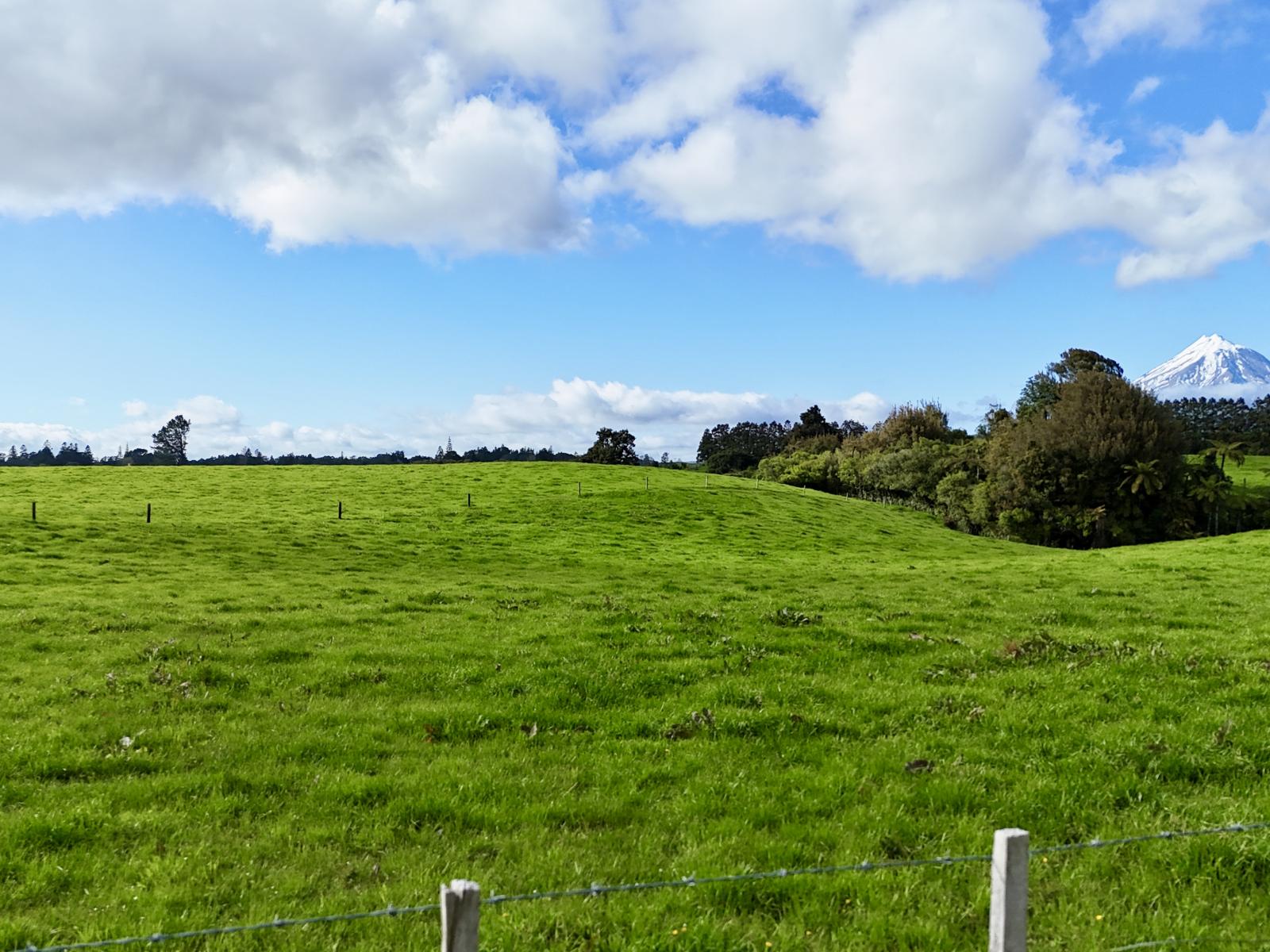 Lot 2 885 Carrington Road, Hurworth