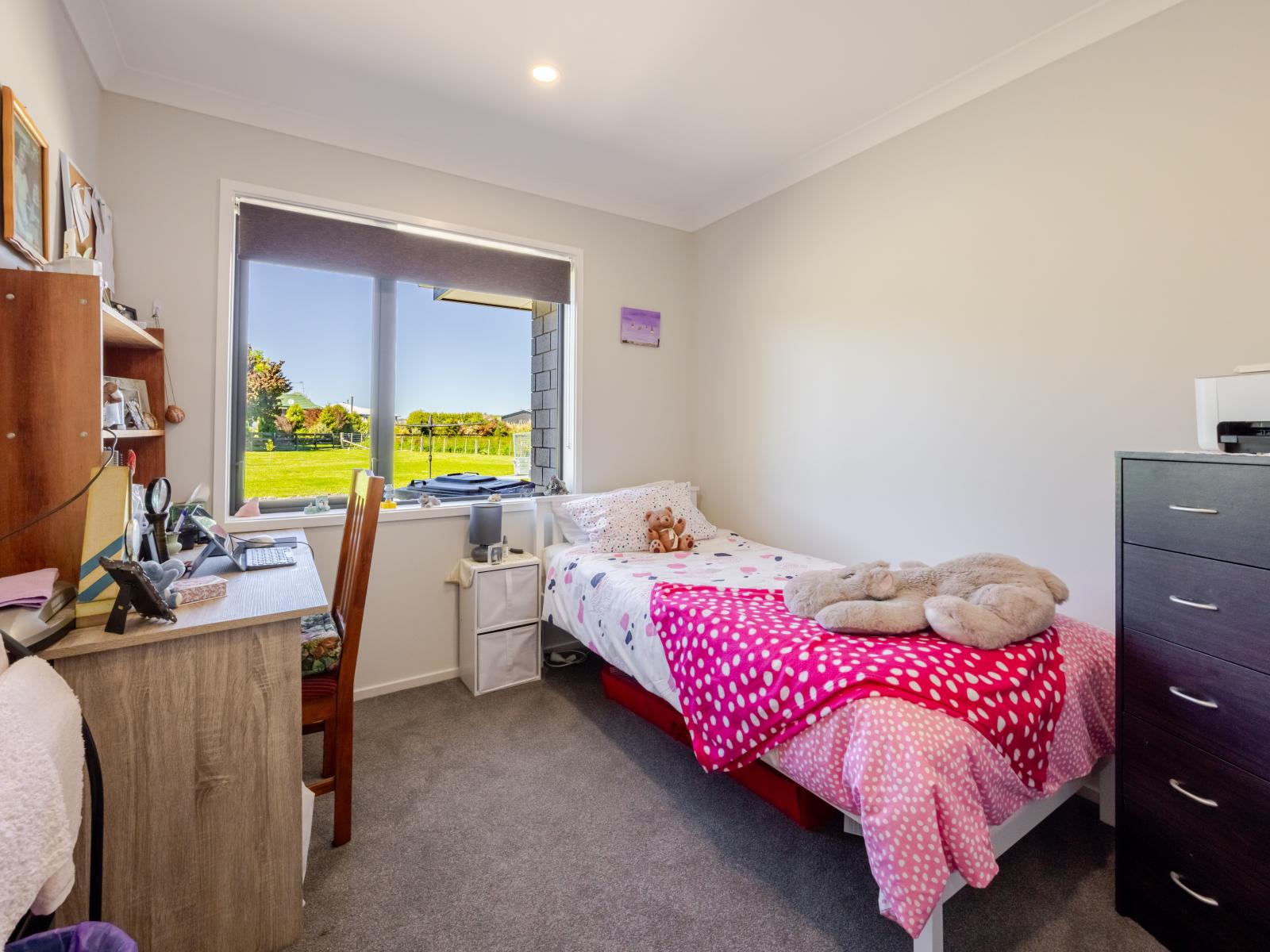 3 Chamberry Drive, Waipukurau