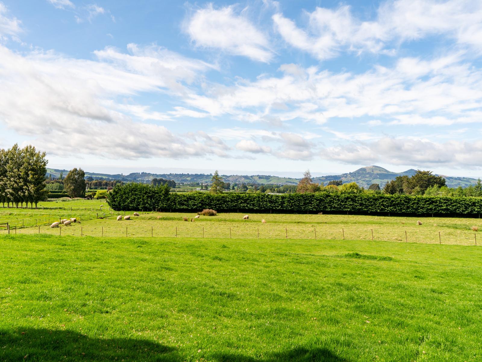 16 Tirohanga Road, North Taieri, Mosgiel