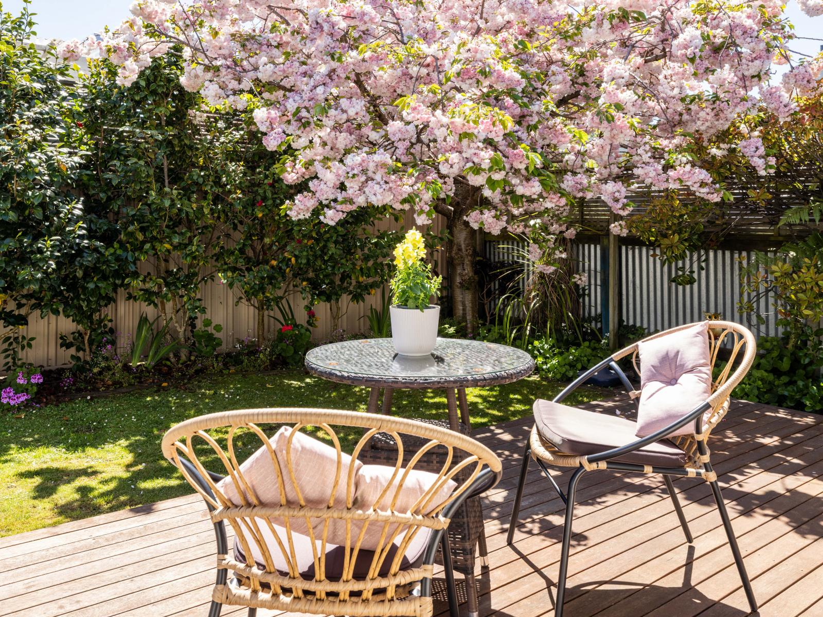 18A Sanders Avenue, Marewa