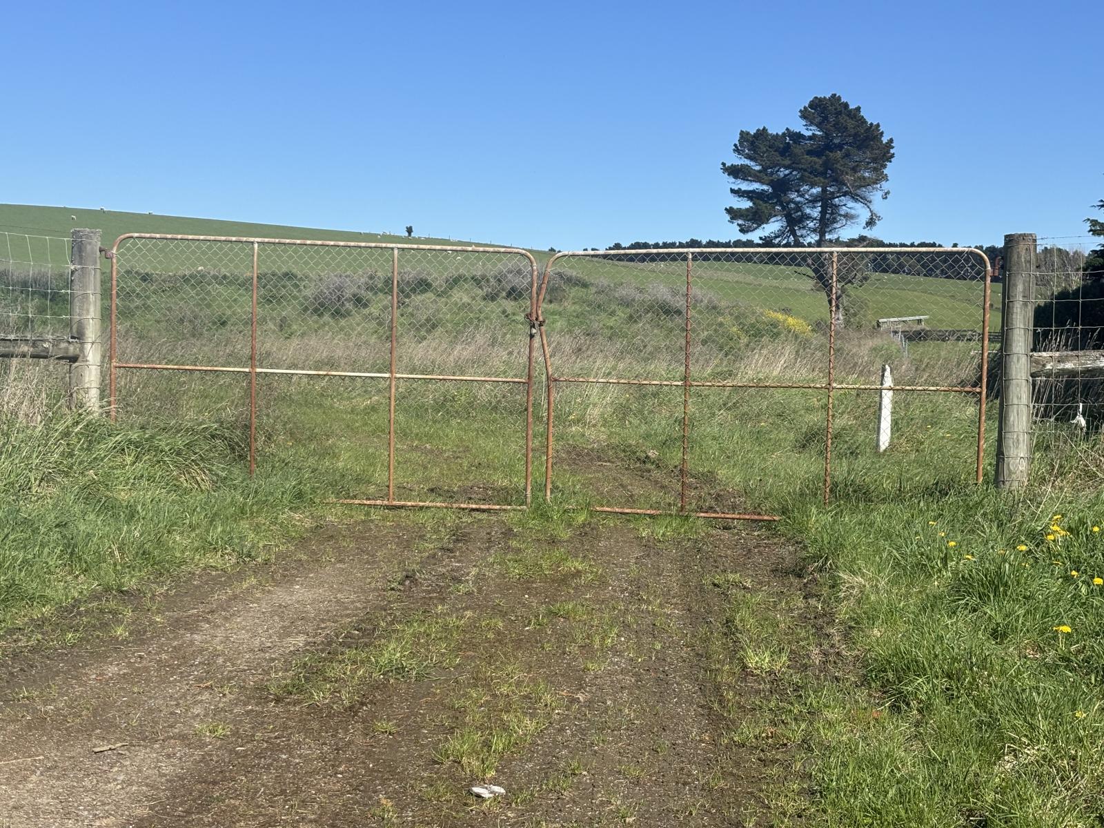 Beach Road, Oamaru