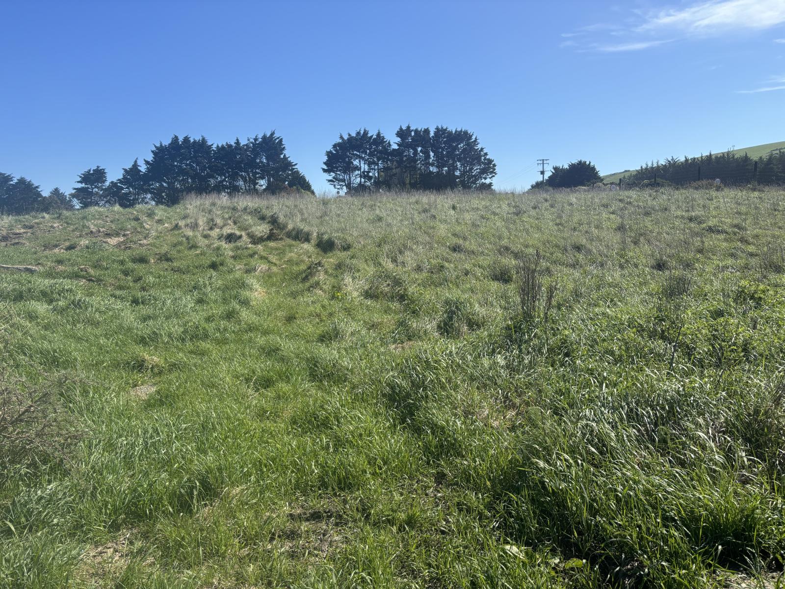 Beach Road, Oamaru