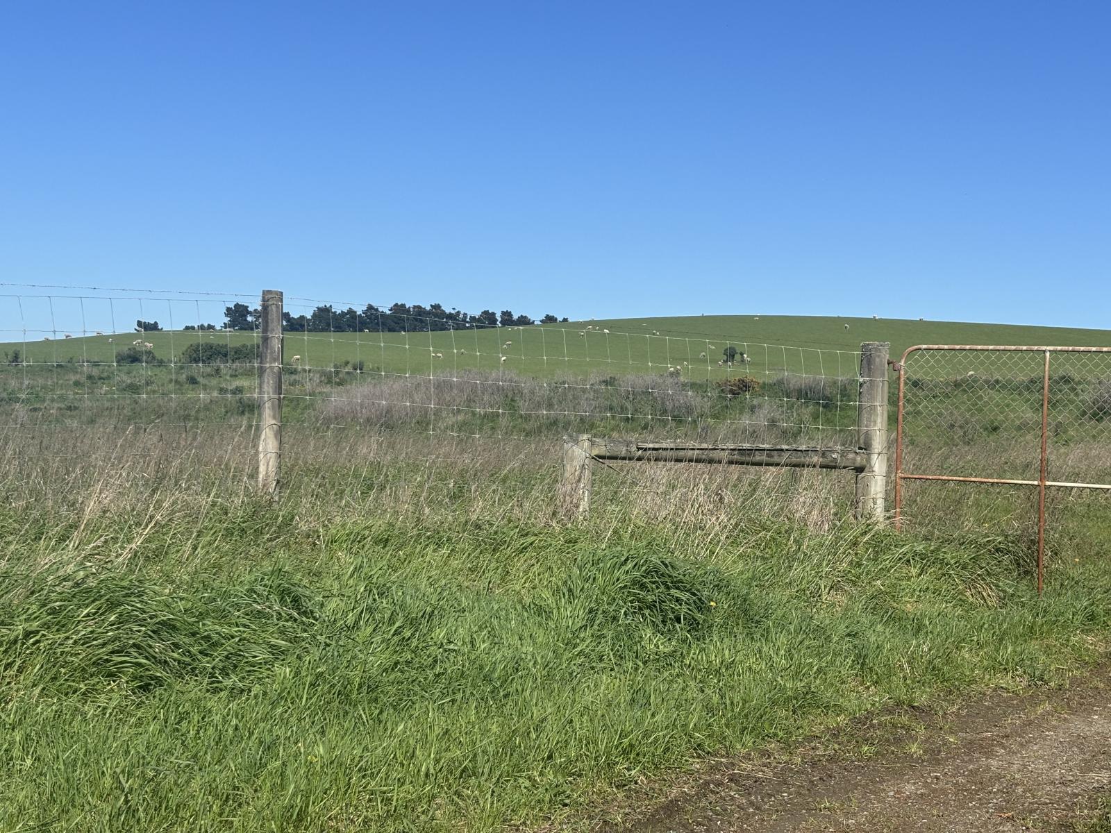 Beach Road, Oamaru