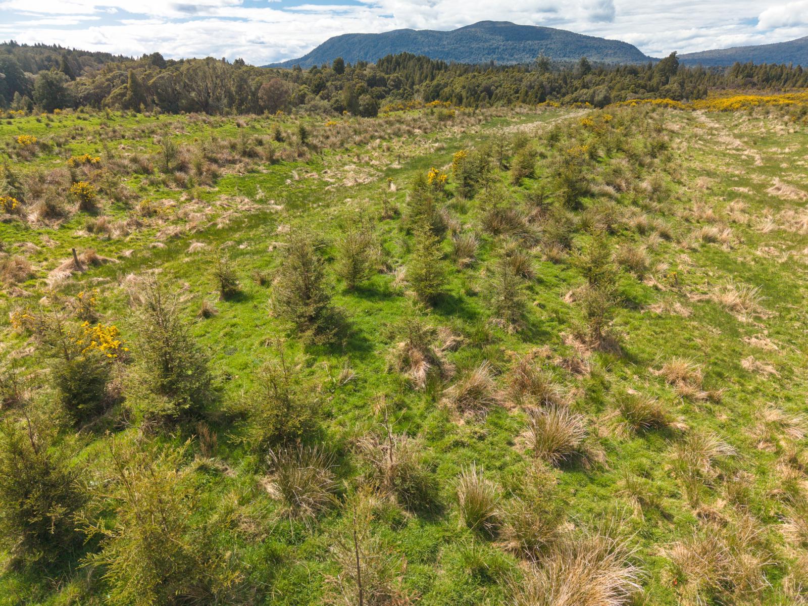 785 Lake Brunner Road, Moana