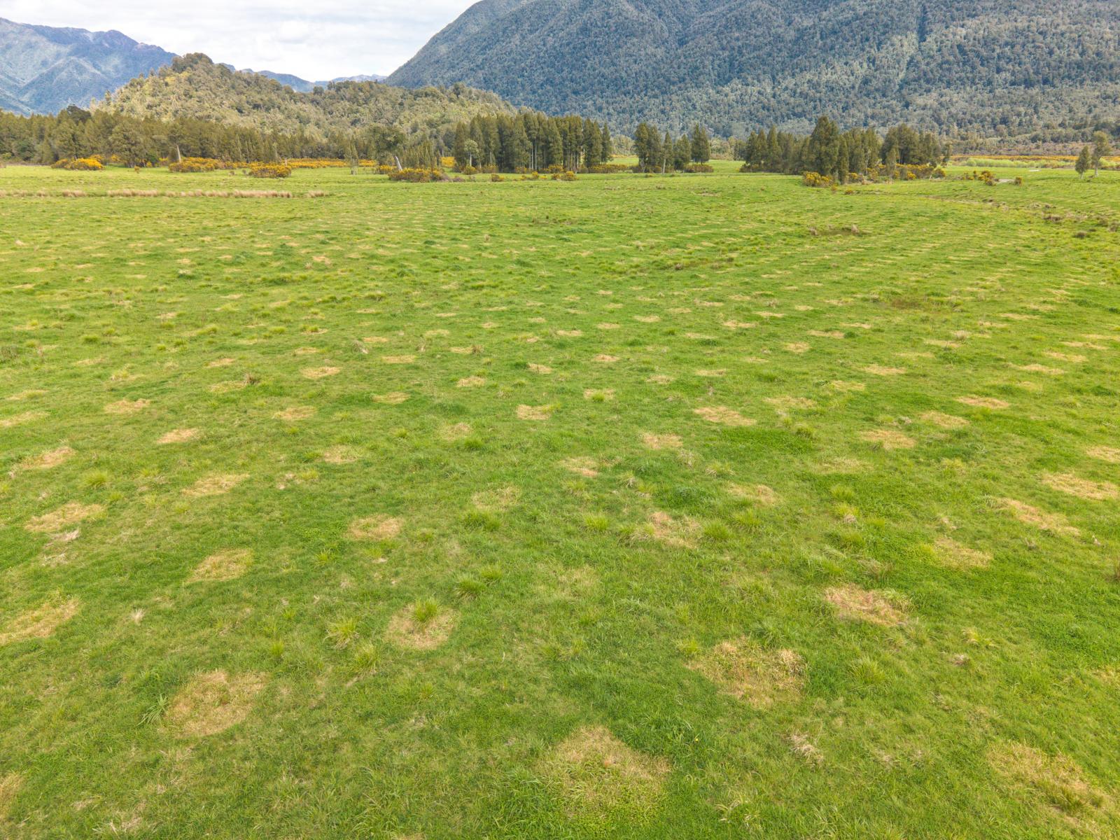 785 Lake Brunner Road, Moana
