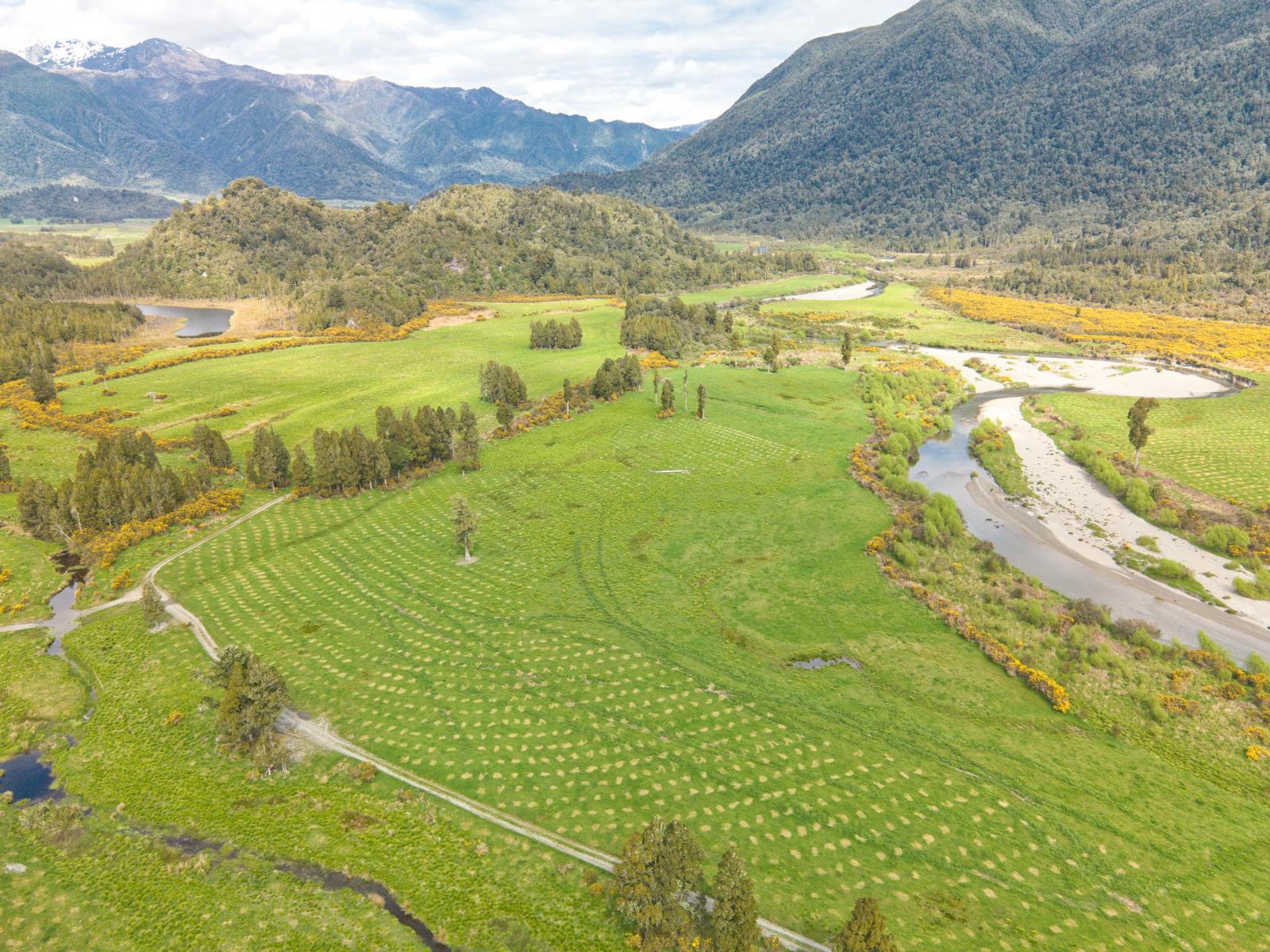 785 Lake Brunner Road, Moana