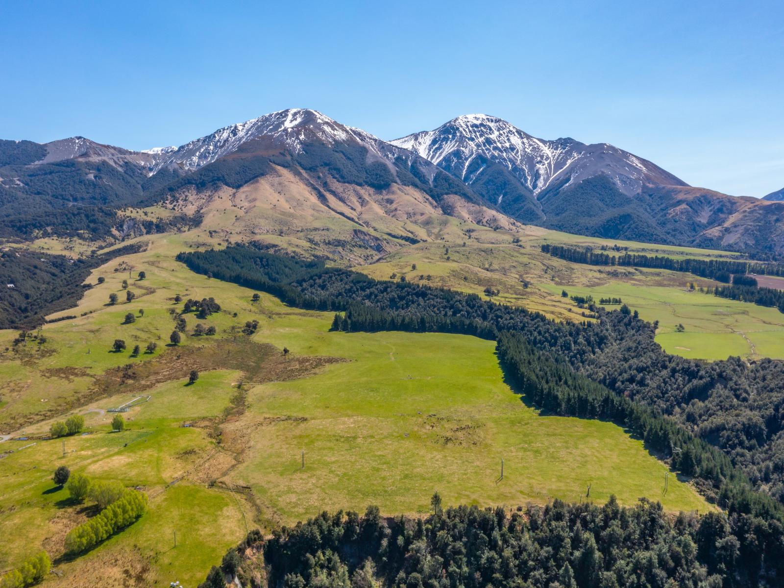 202 Mount Lyford Forest Drive, Lyford