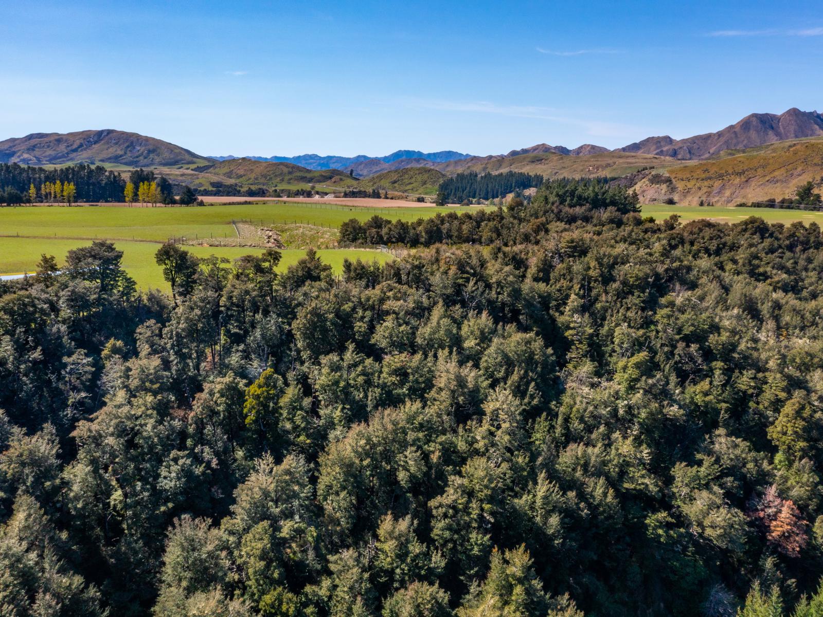 202 Mount Lyford Forest Drive, Lyford
