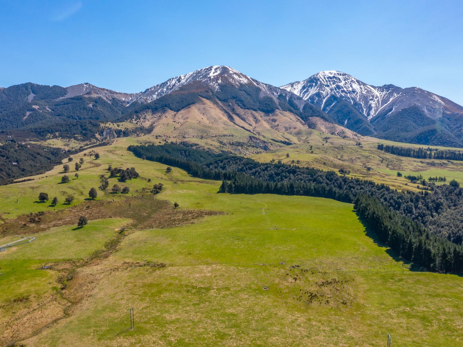 202 Mount Lyford Forest Drive, Lyford