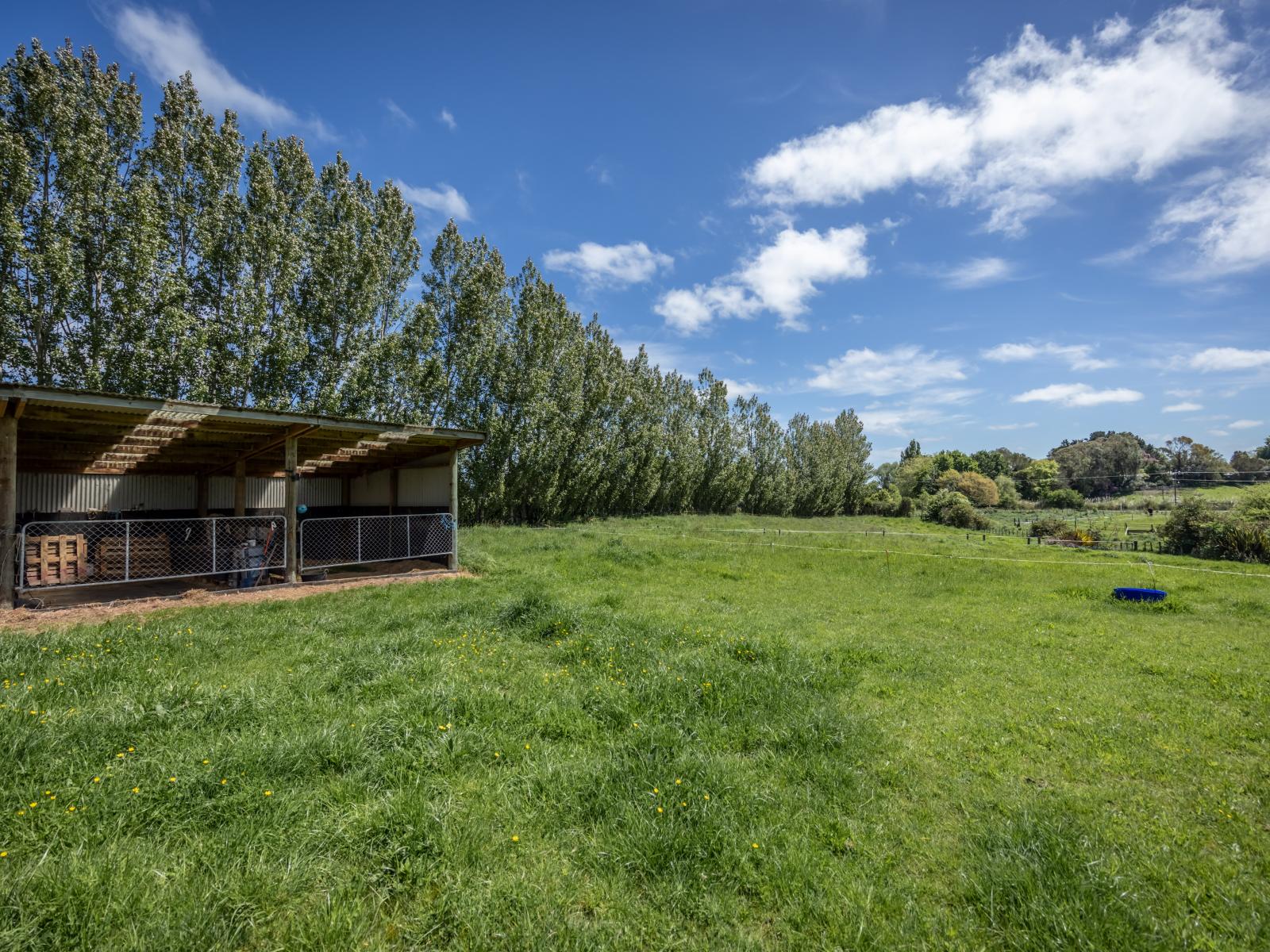 1A A'court Street, Sanson