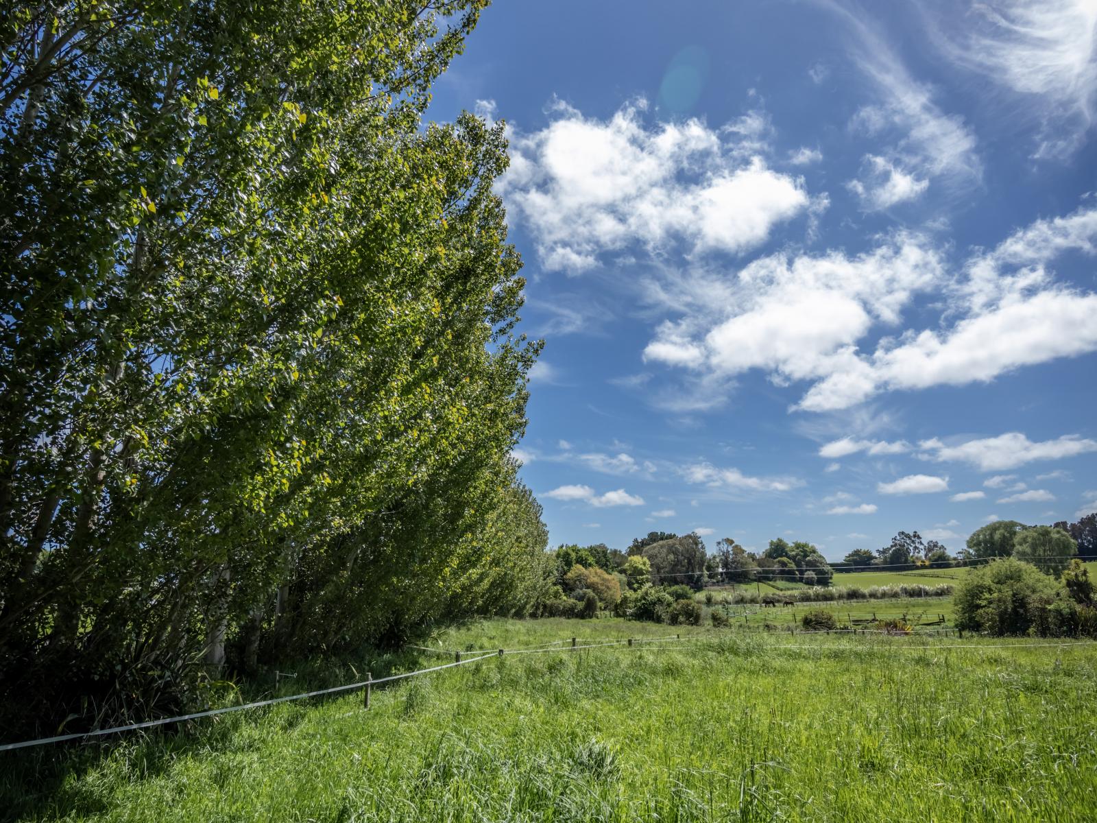 1A A'court Street, Sanson