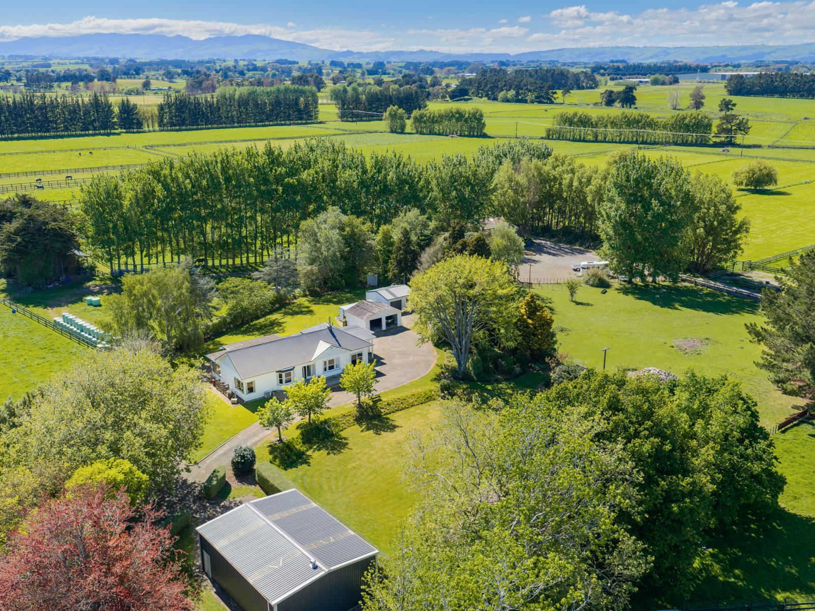 152 Setters Line, Bunnythorpe