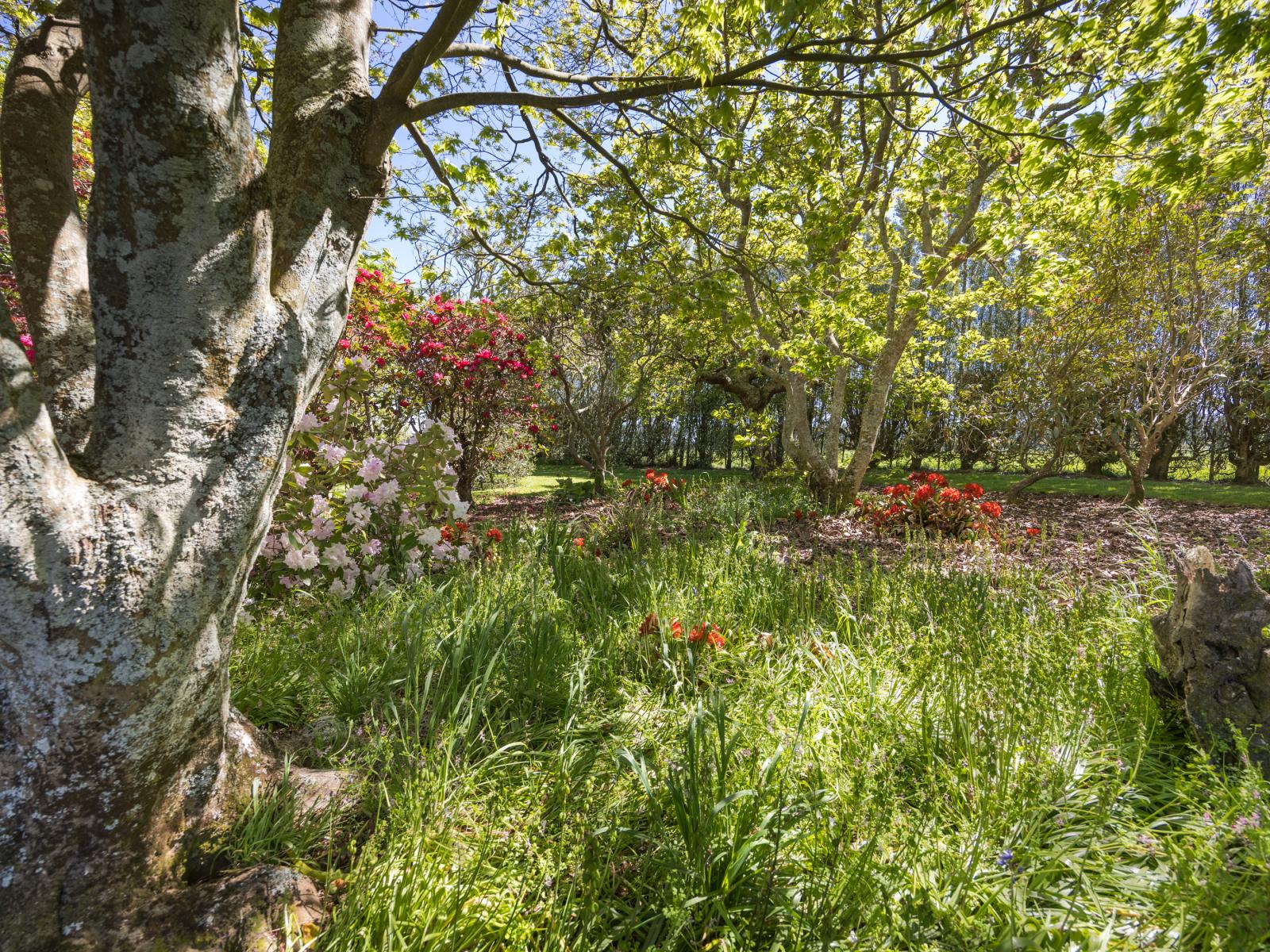 152 Setters Line, Bunnythorpe