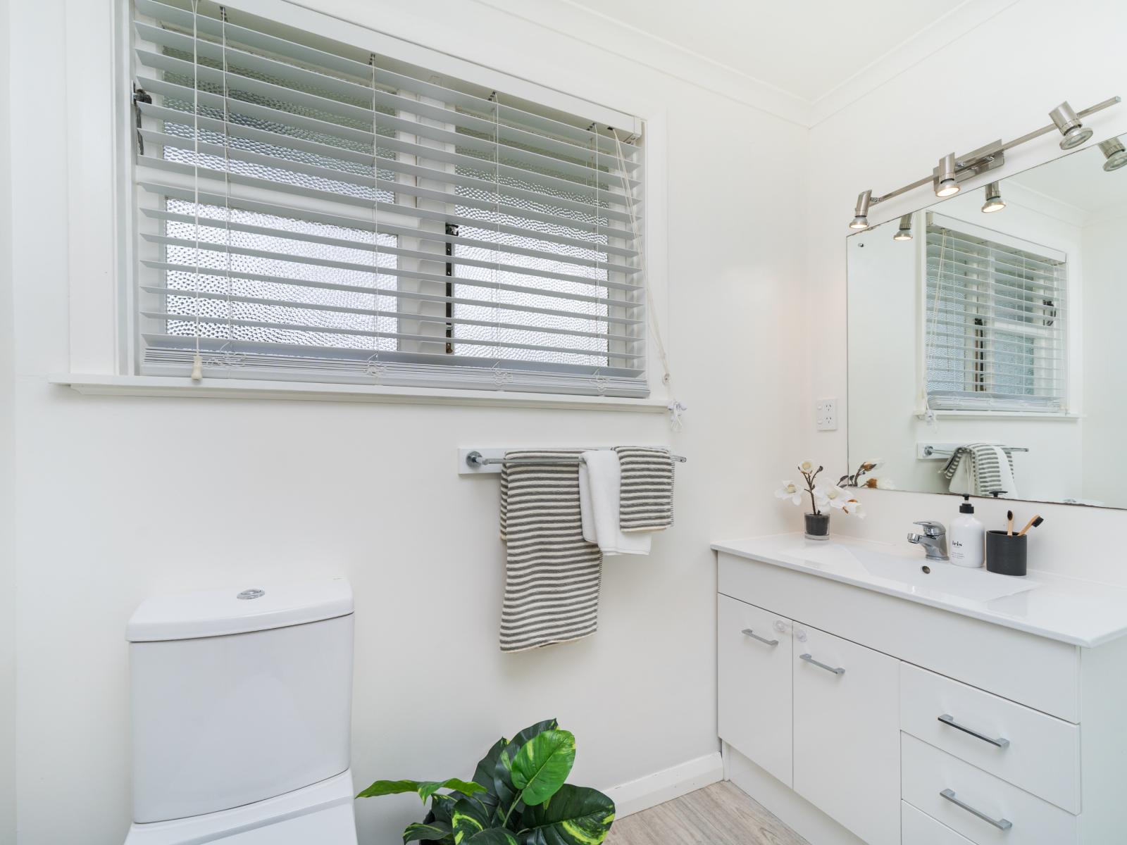 51a Seddon Street, Takaro