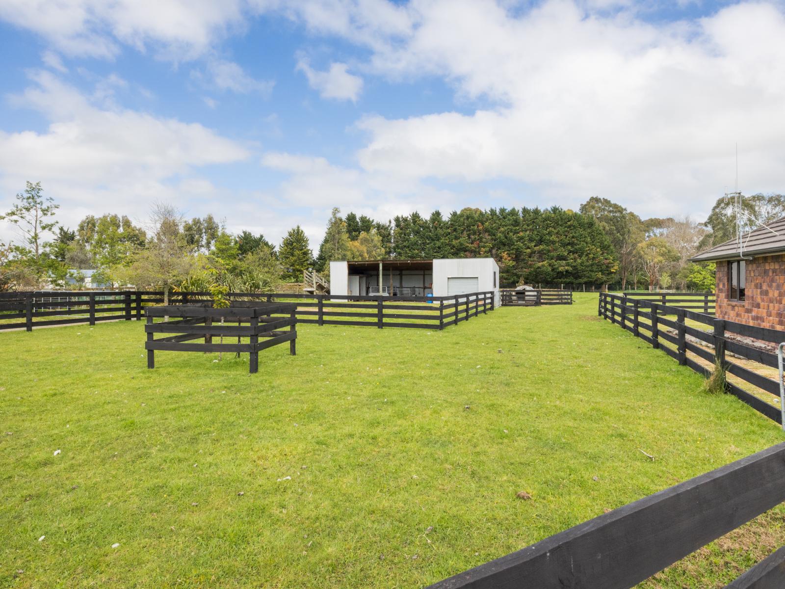 38B Grove Road, Hiwinui