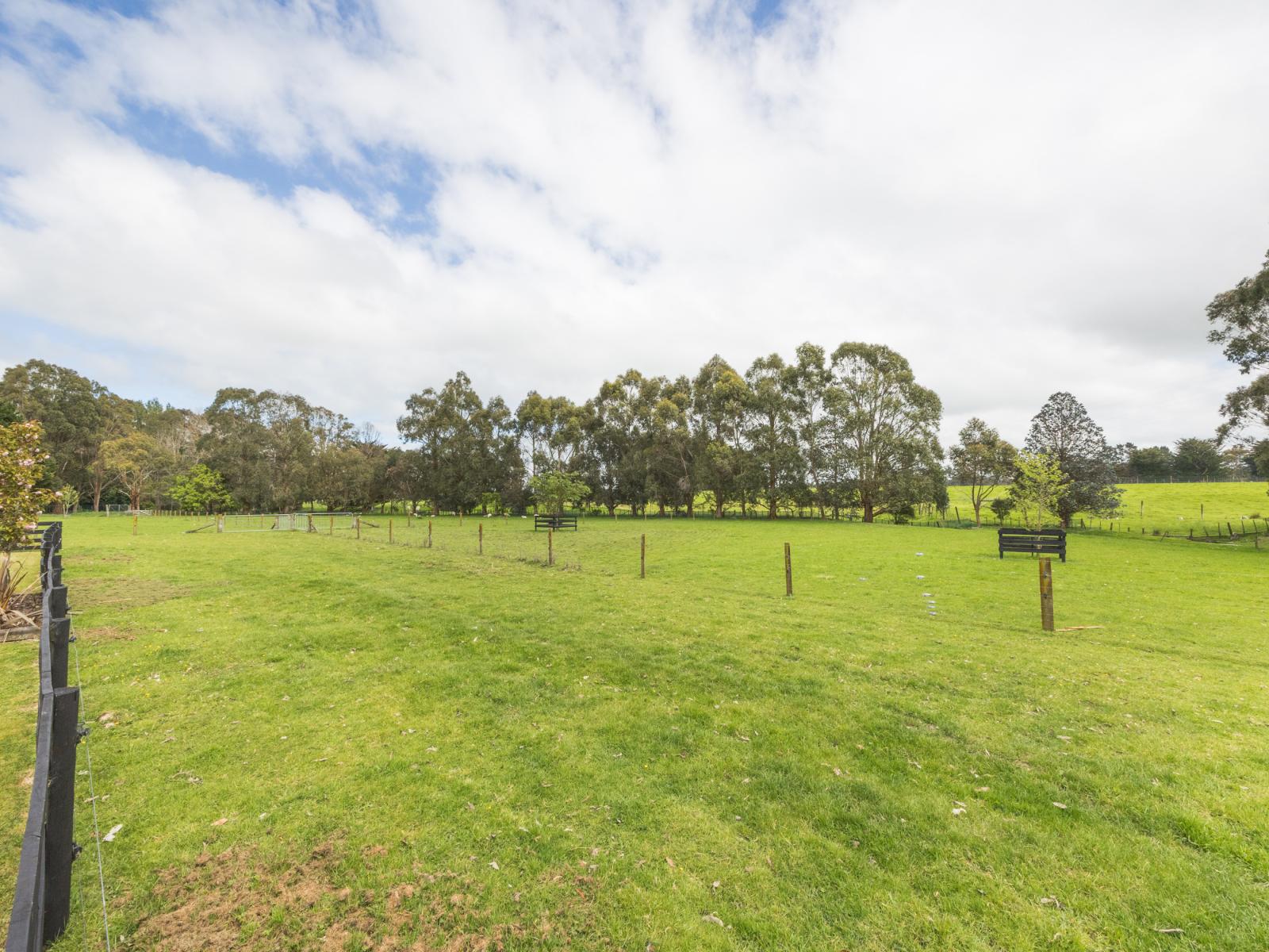 38B Grove Road, Hiwinui