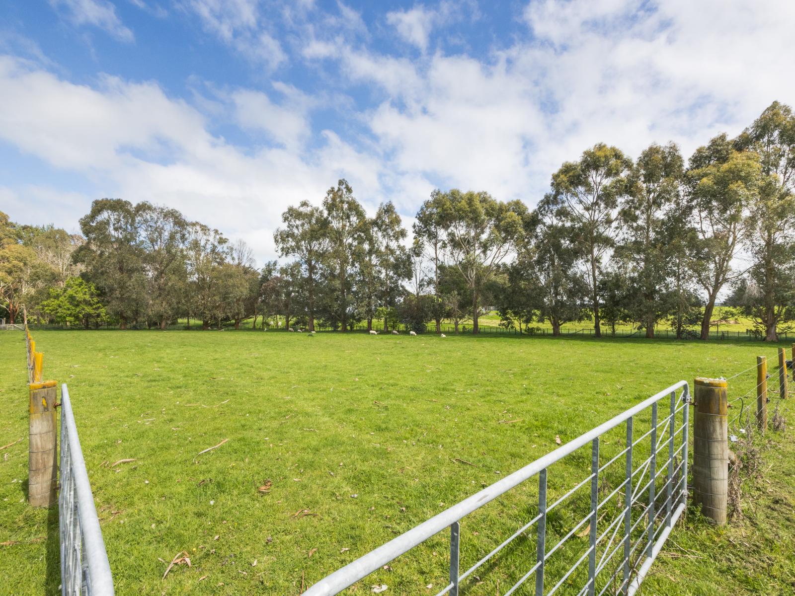 38B Grove Road, Hiwinui