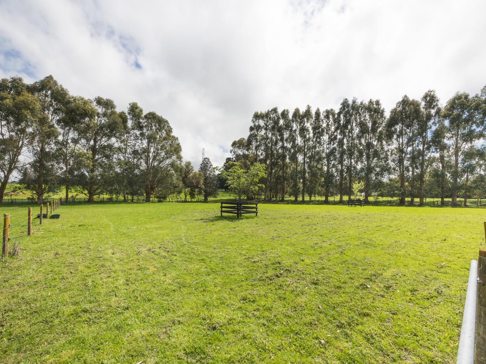 38B Grove Road, Hiwinui