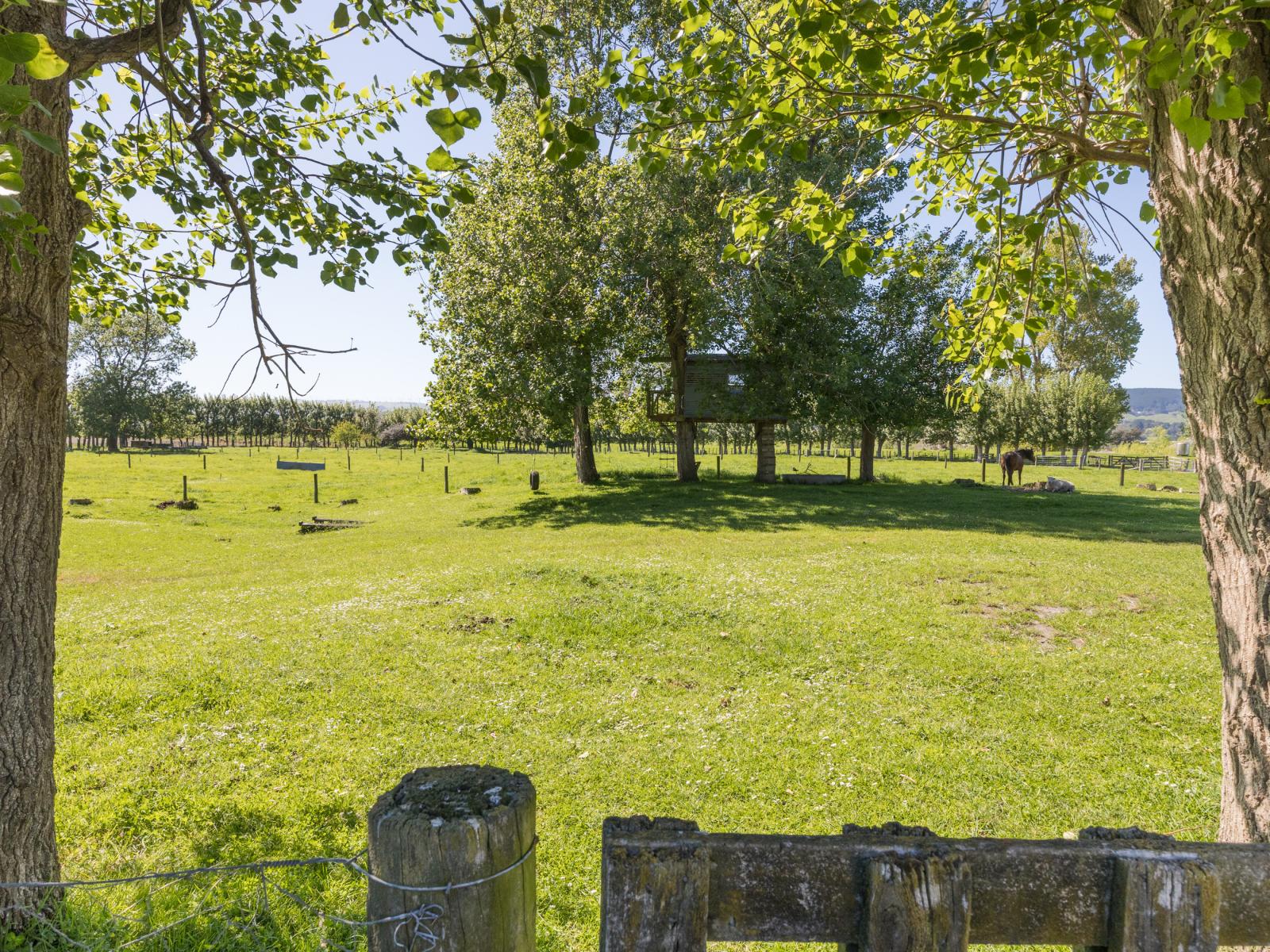 298 Te Matai Road, Whakarongo