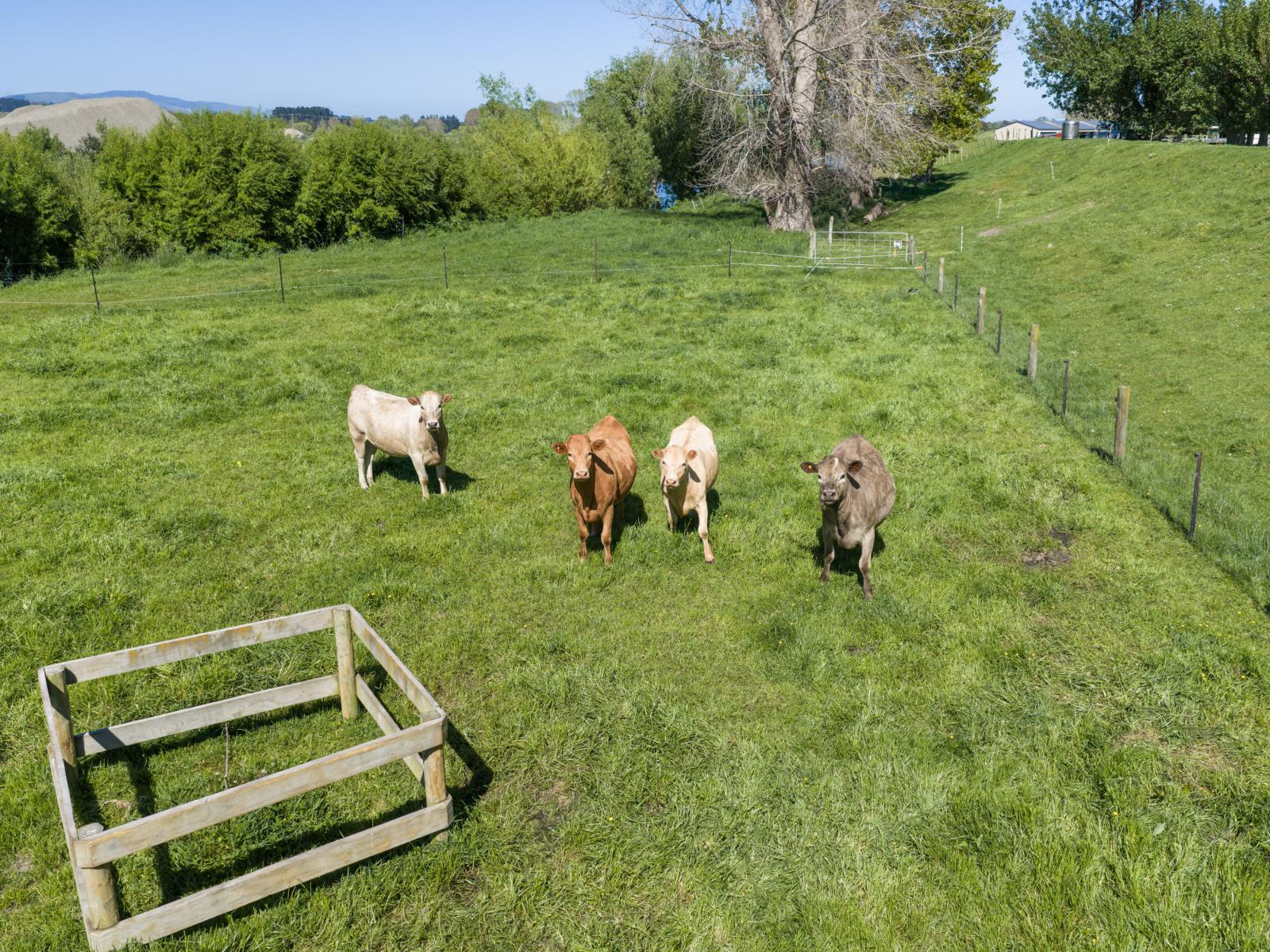298 Te Matai Road, Whakarongo