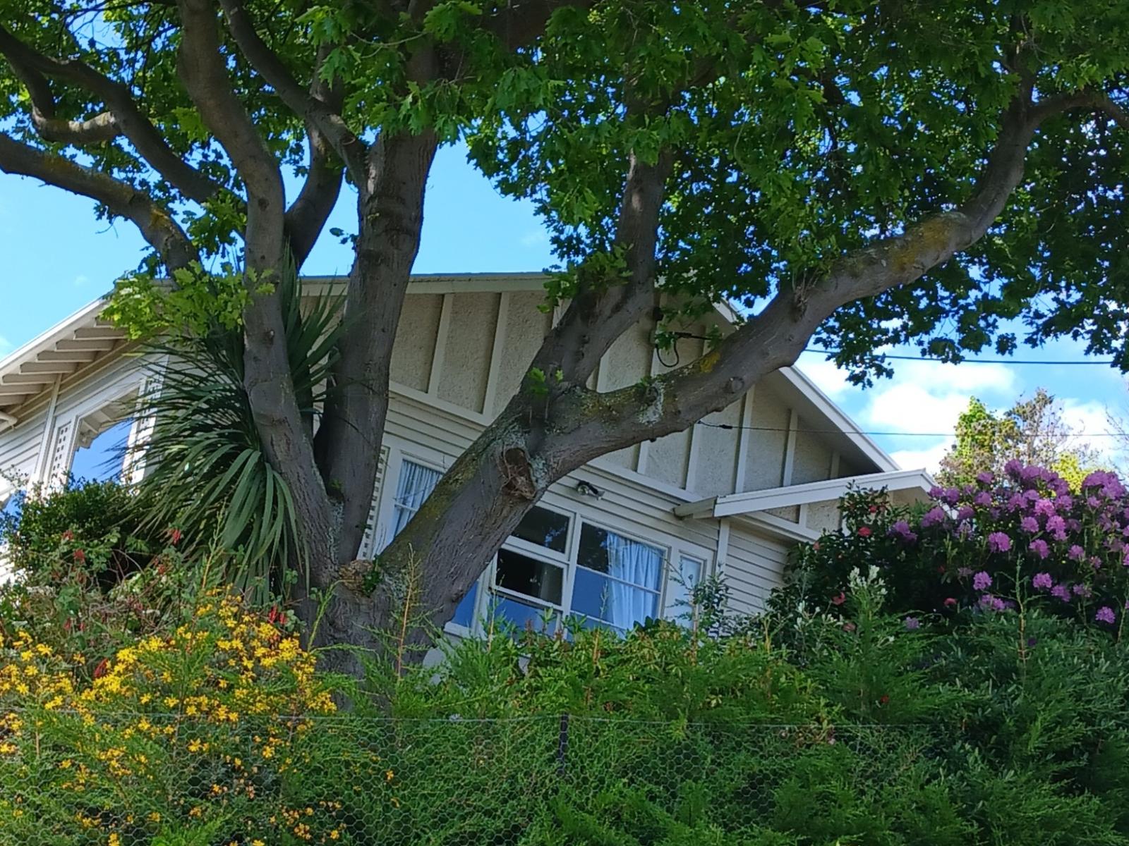5 Till Street, Oamaru