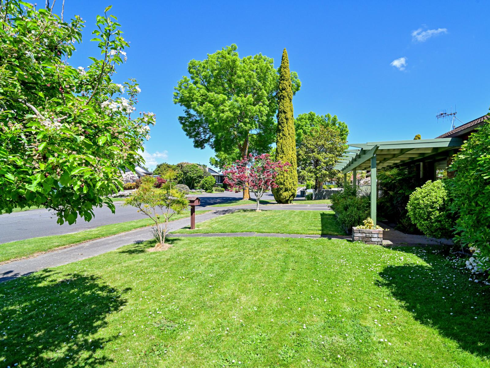 6 Grant Street, Havelock North